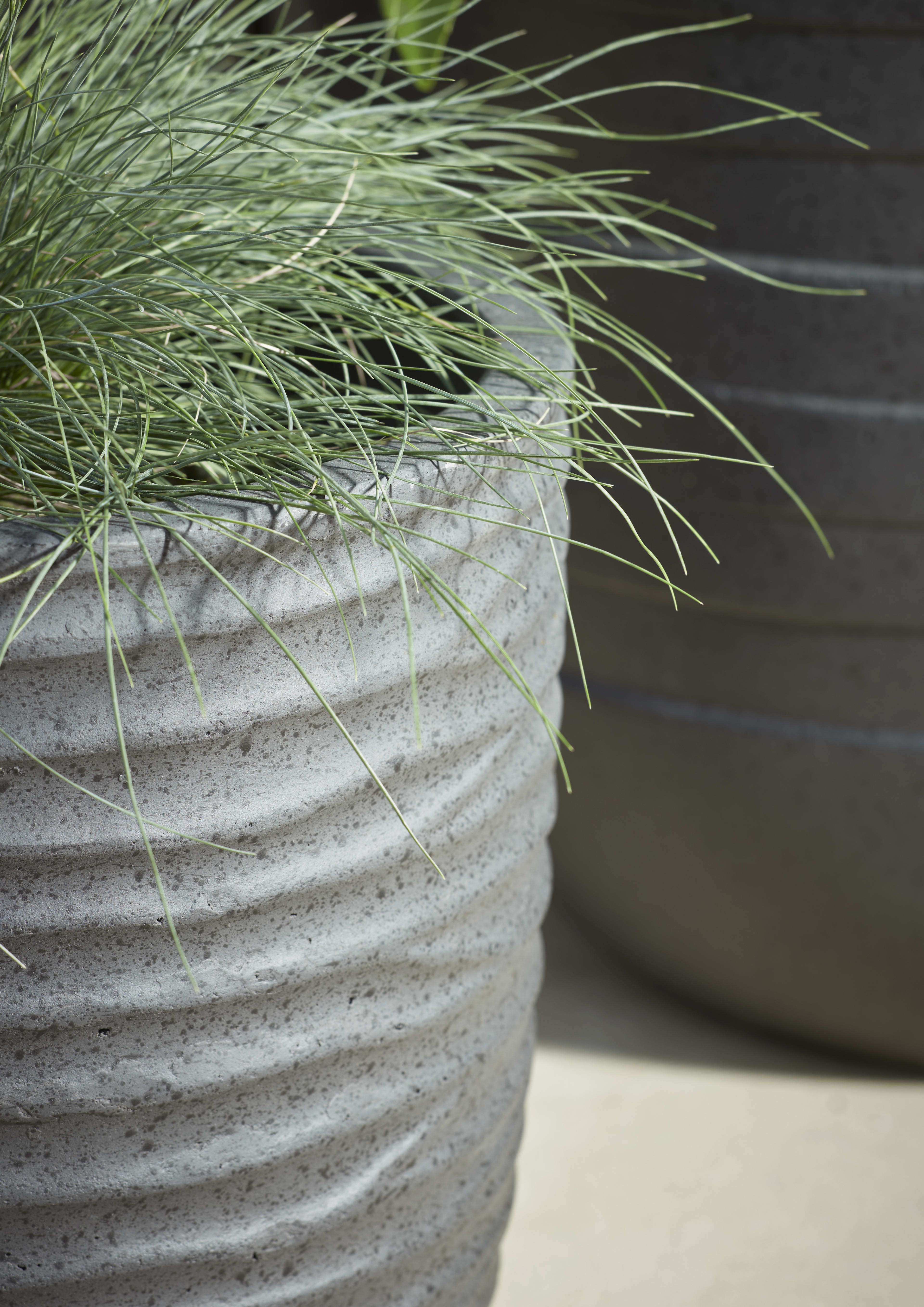 [object Object] image 2