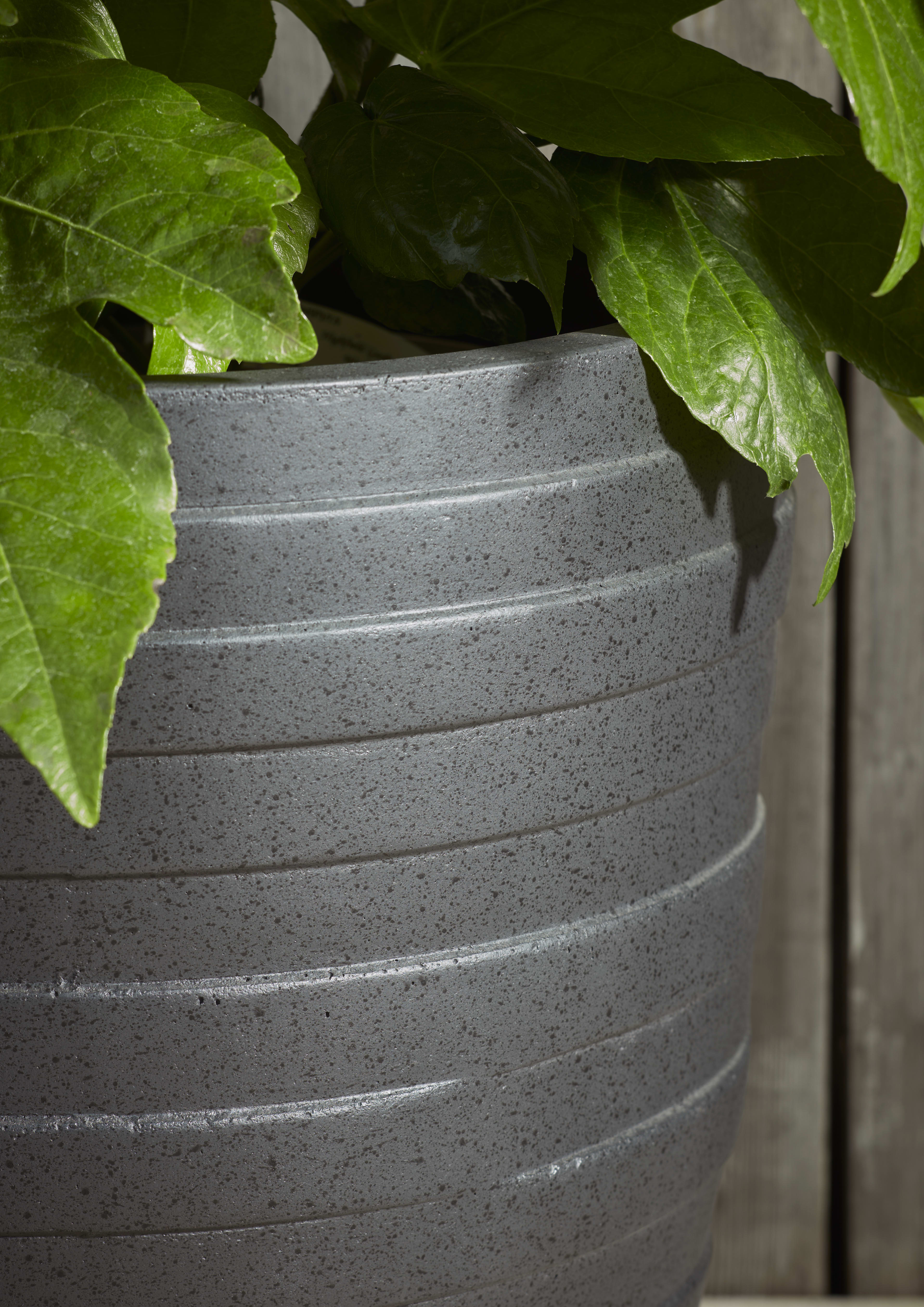 [object Object] image 3