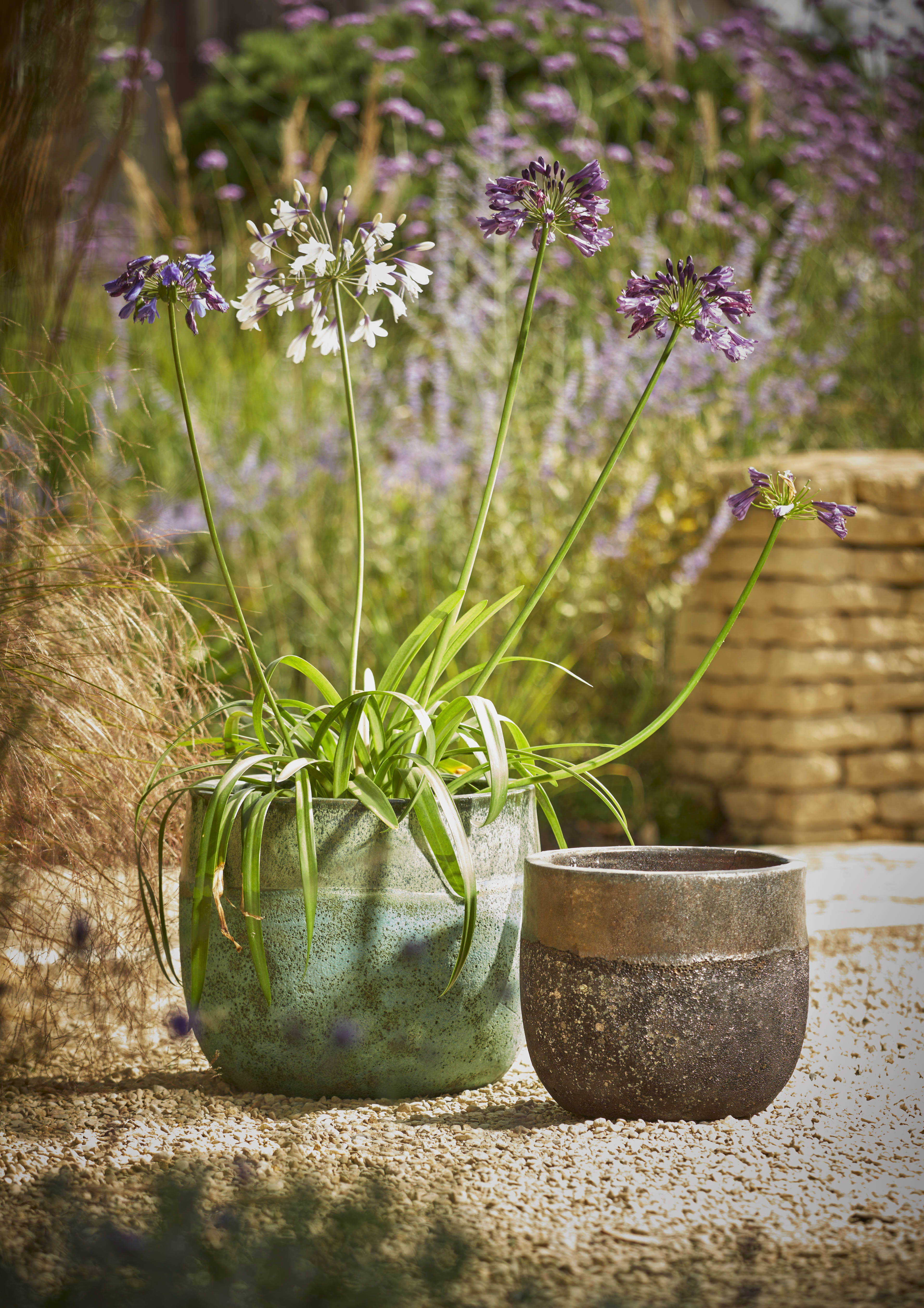 [object Object] image 1