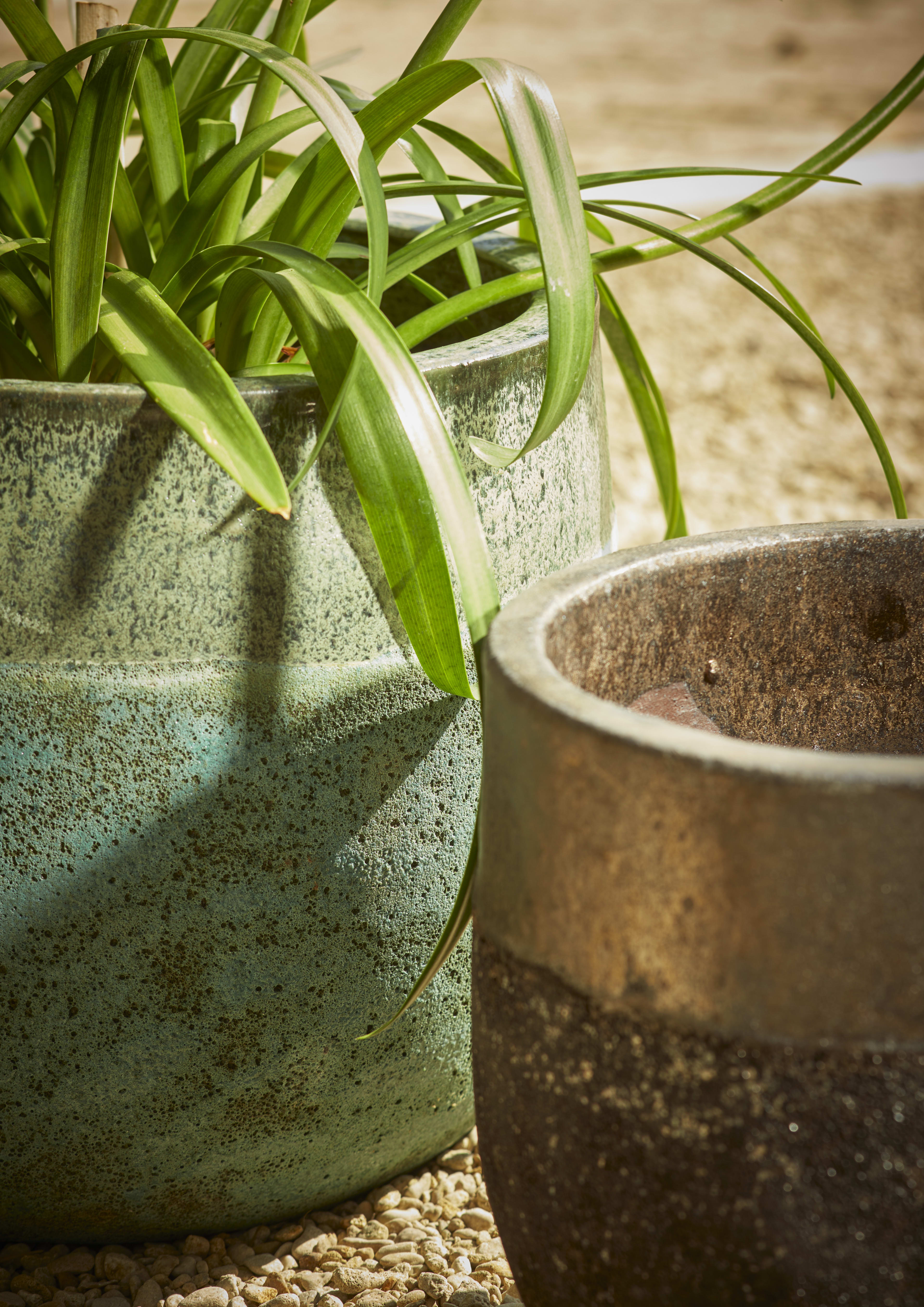 [object Object] image 2