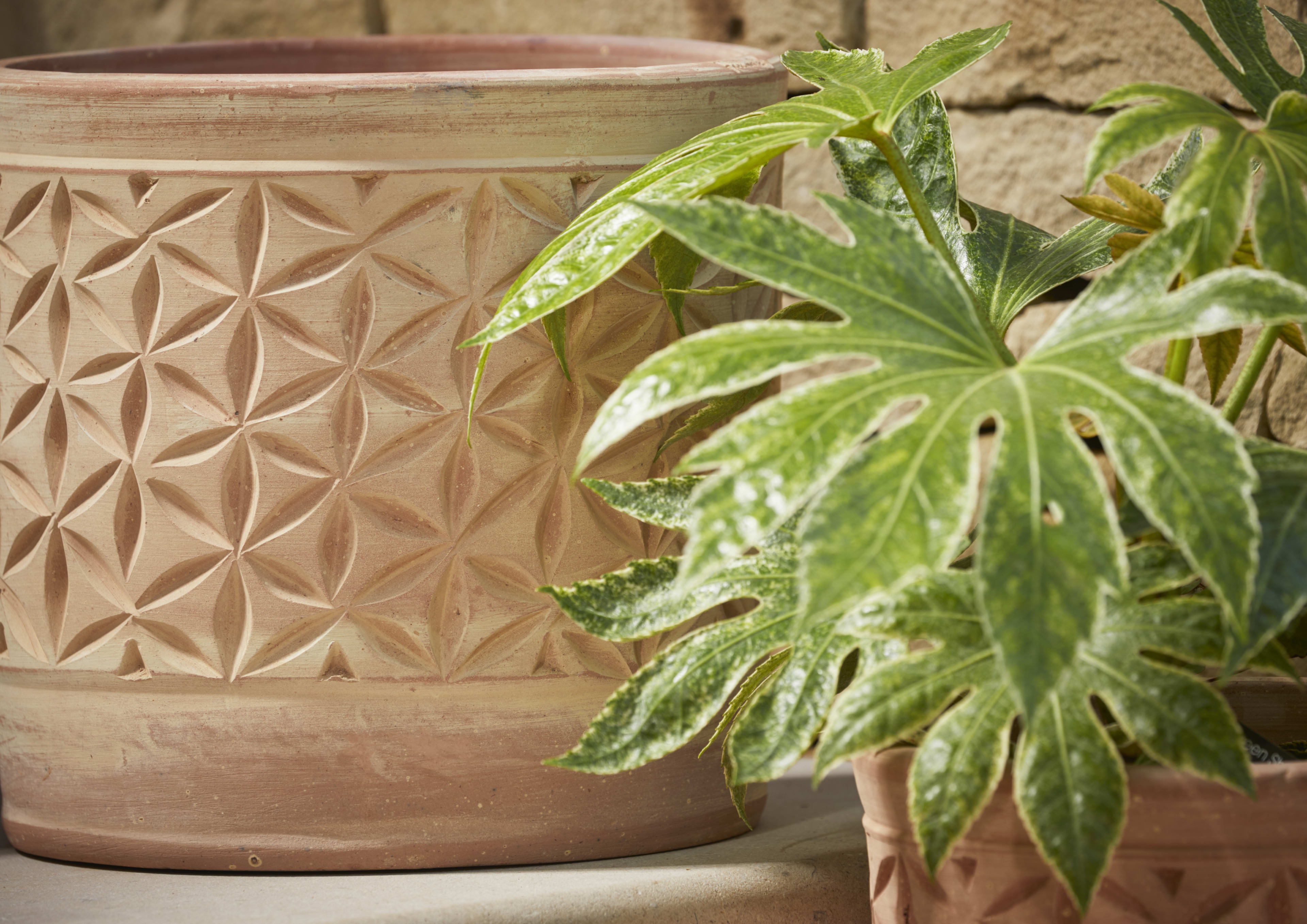 [object Object] image 2