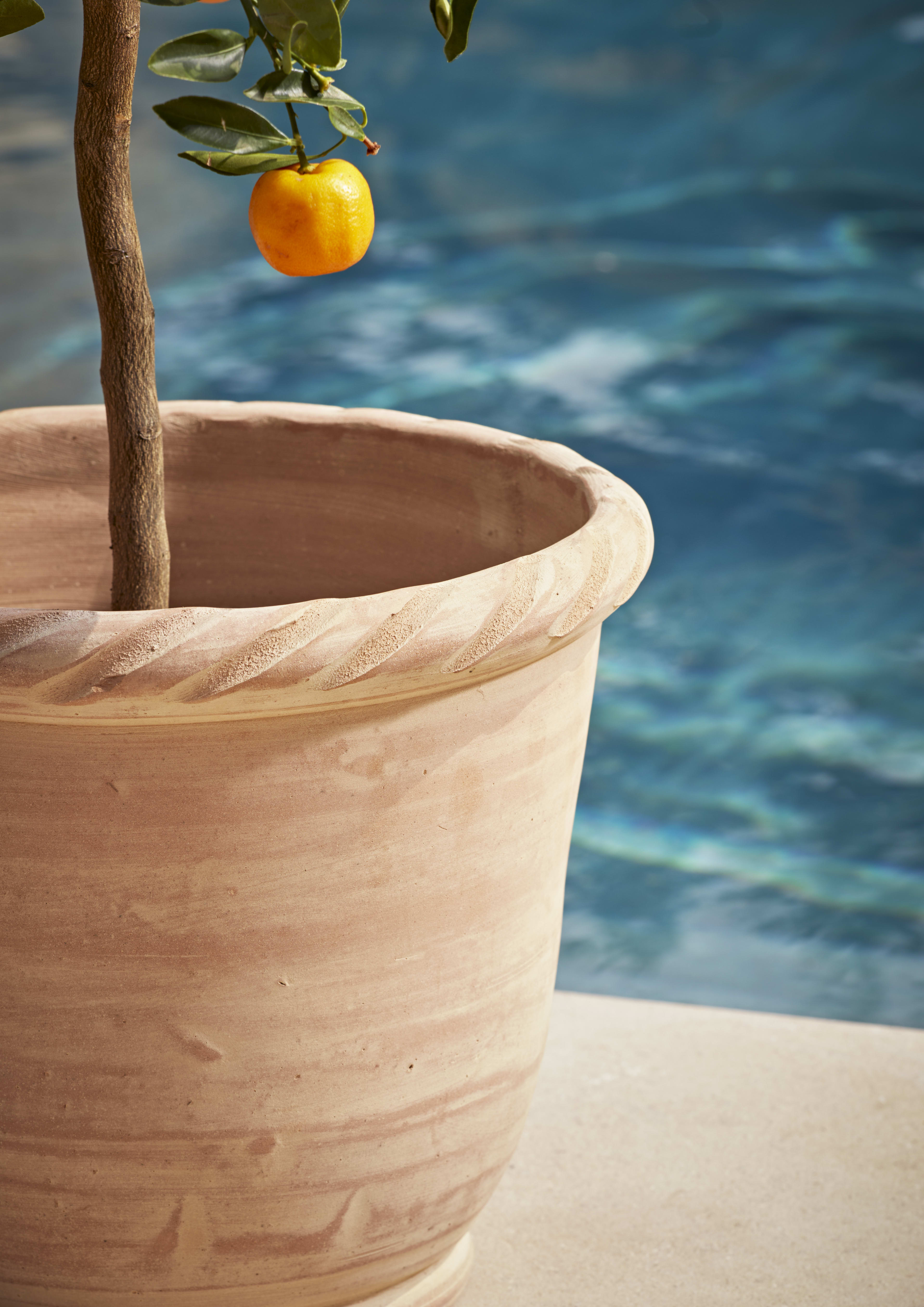 [object Object] image 2