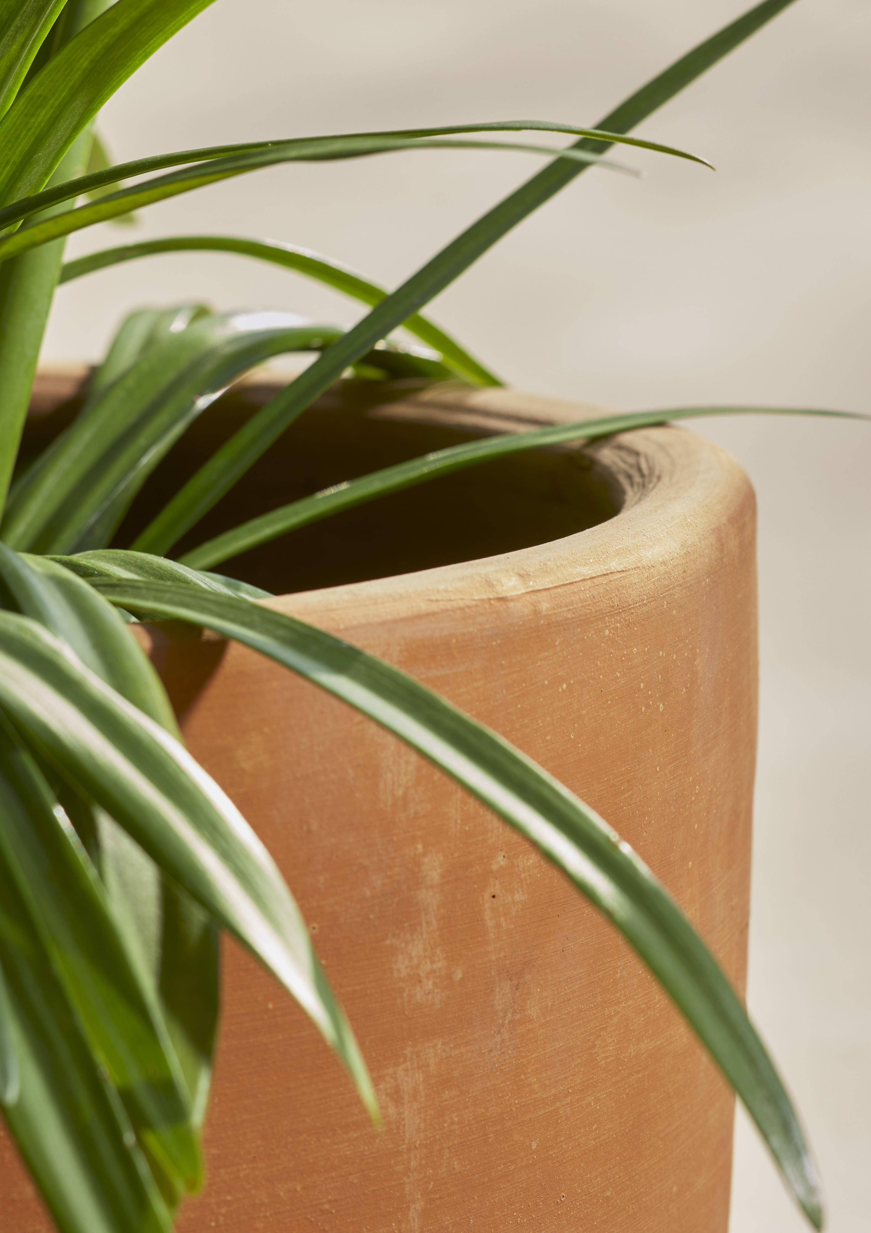 [object Object] image 3