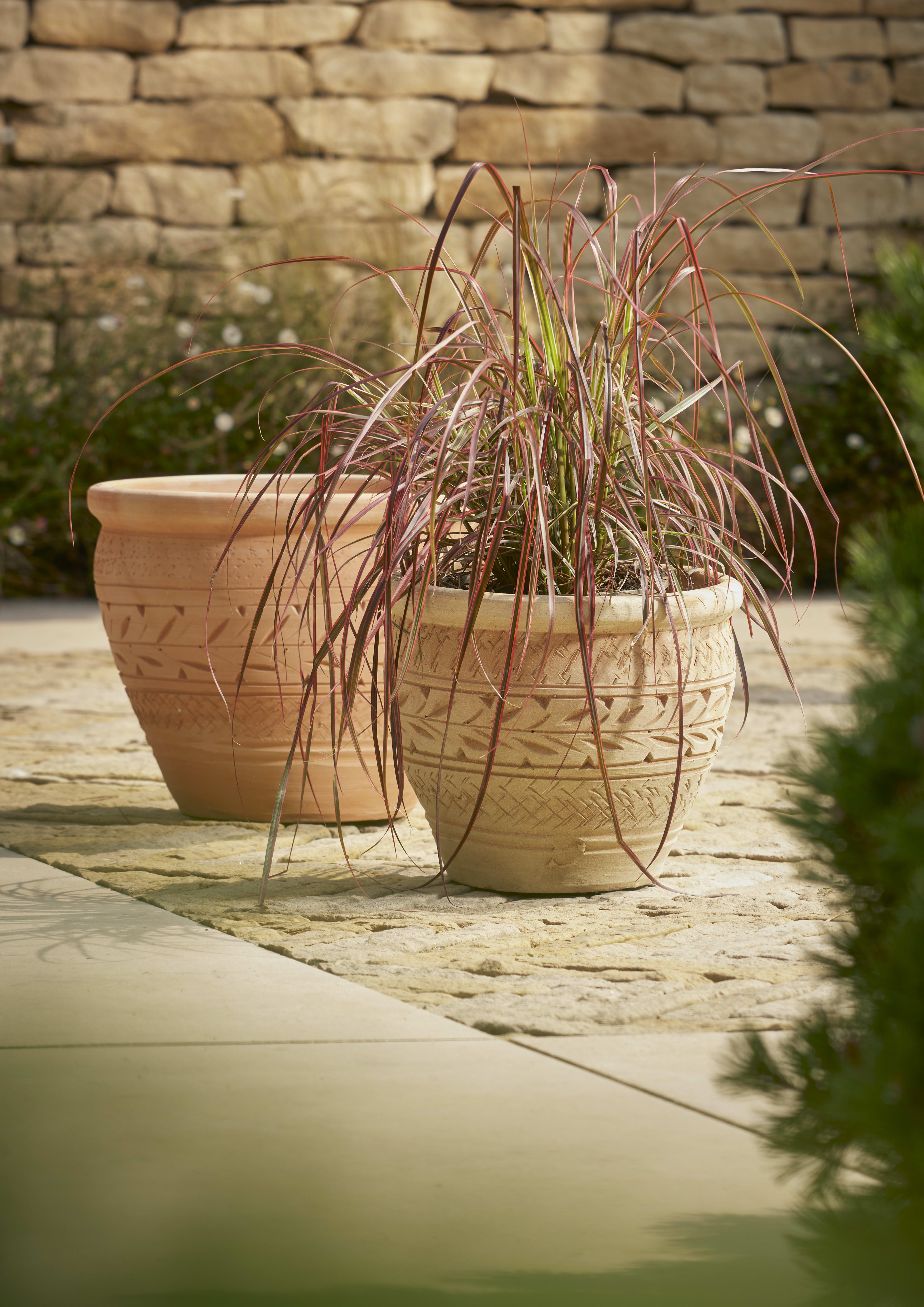 [object Object] image 1