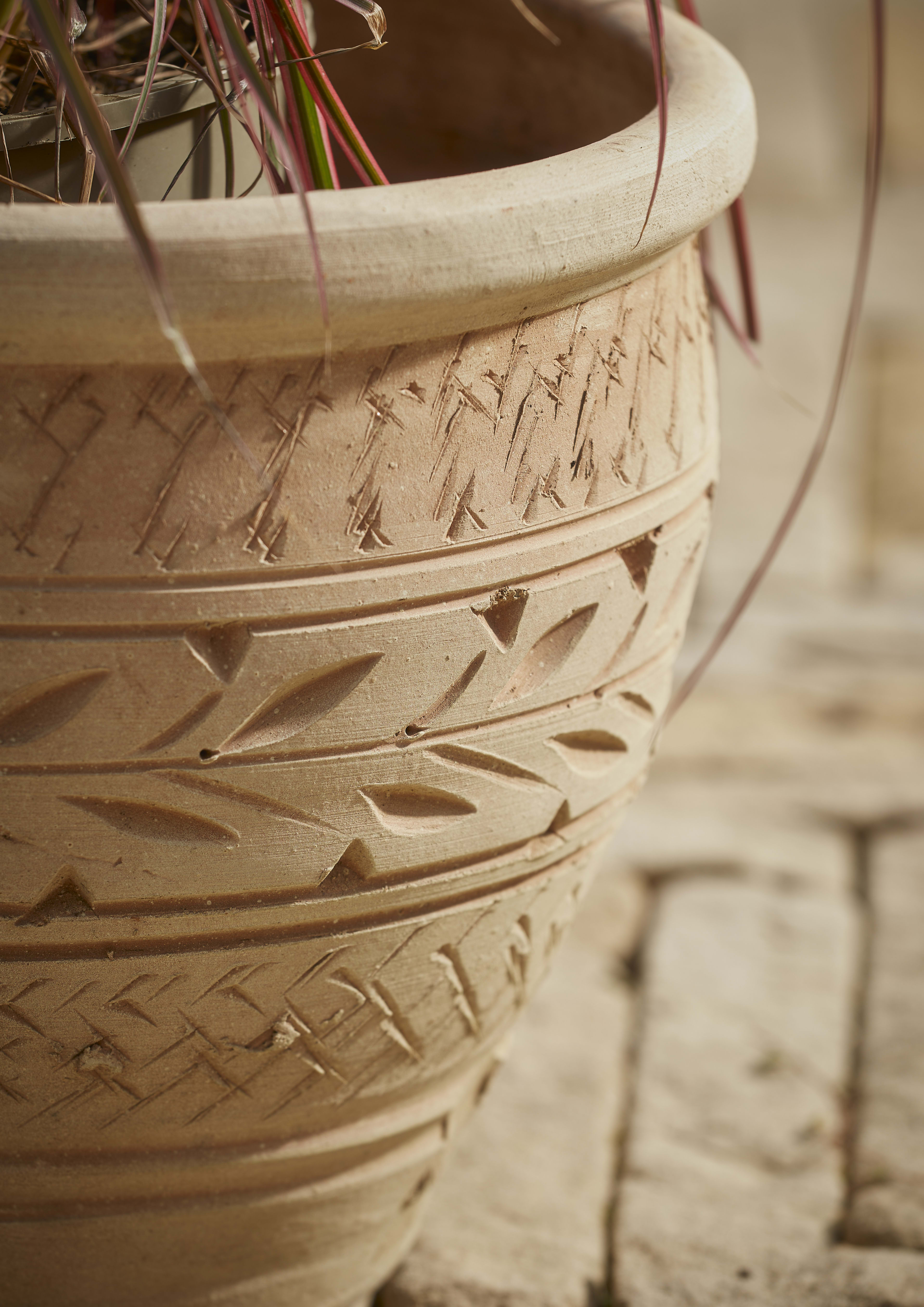 [object Object] image 2