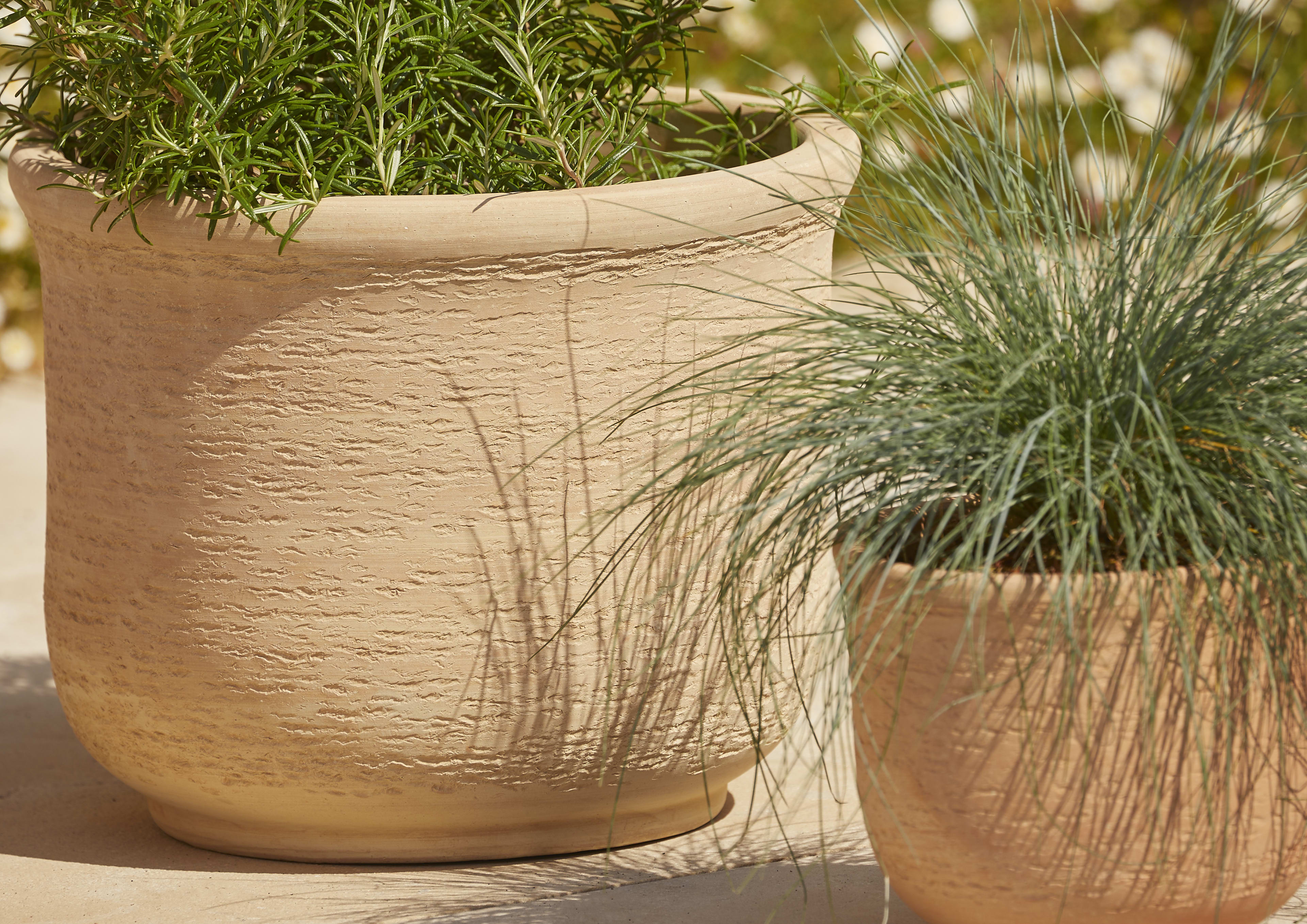 [object Object] image 2