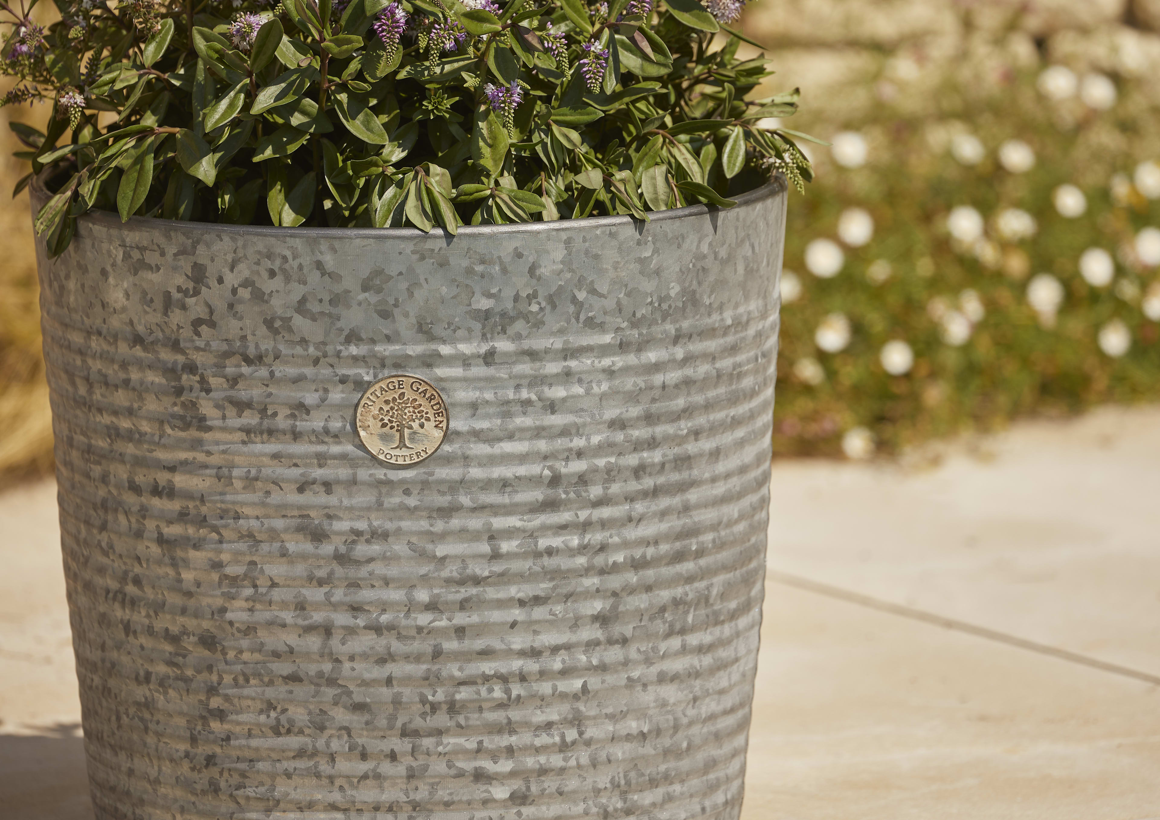 [object Object] image 2