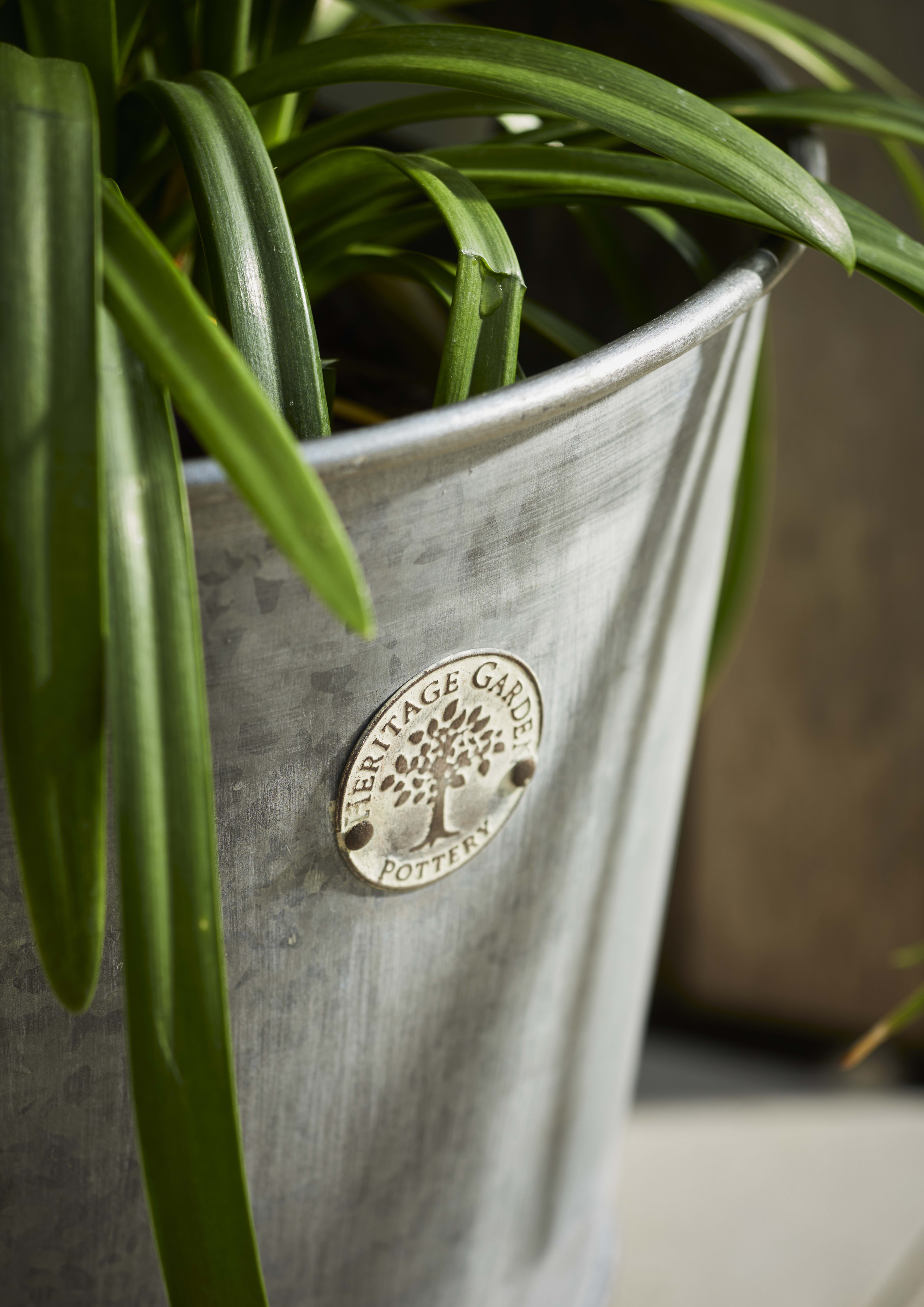 [object Object] image 2