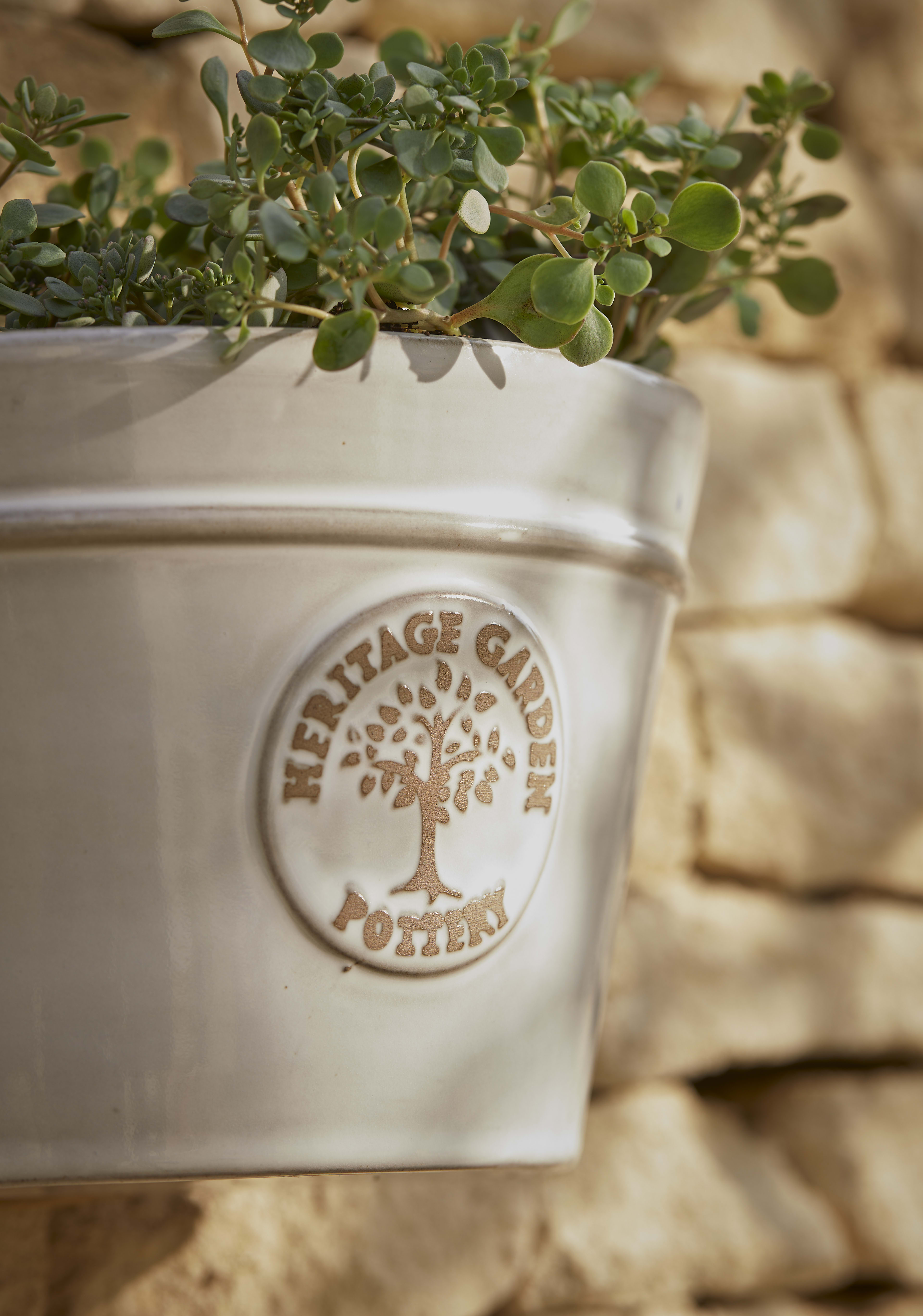 [object Object] image 2