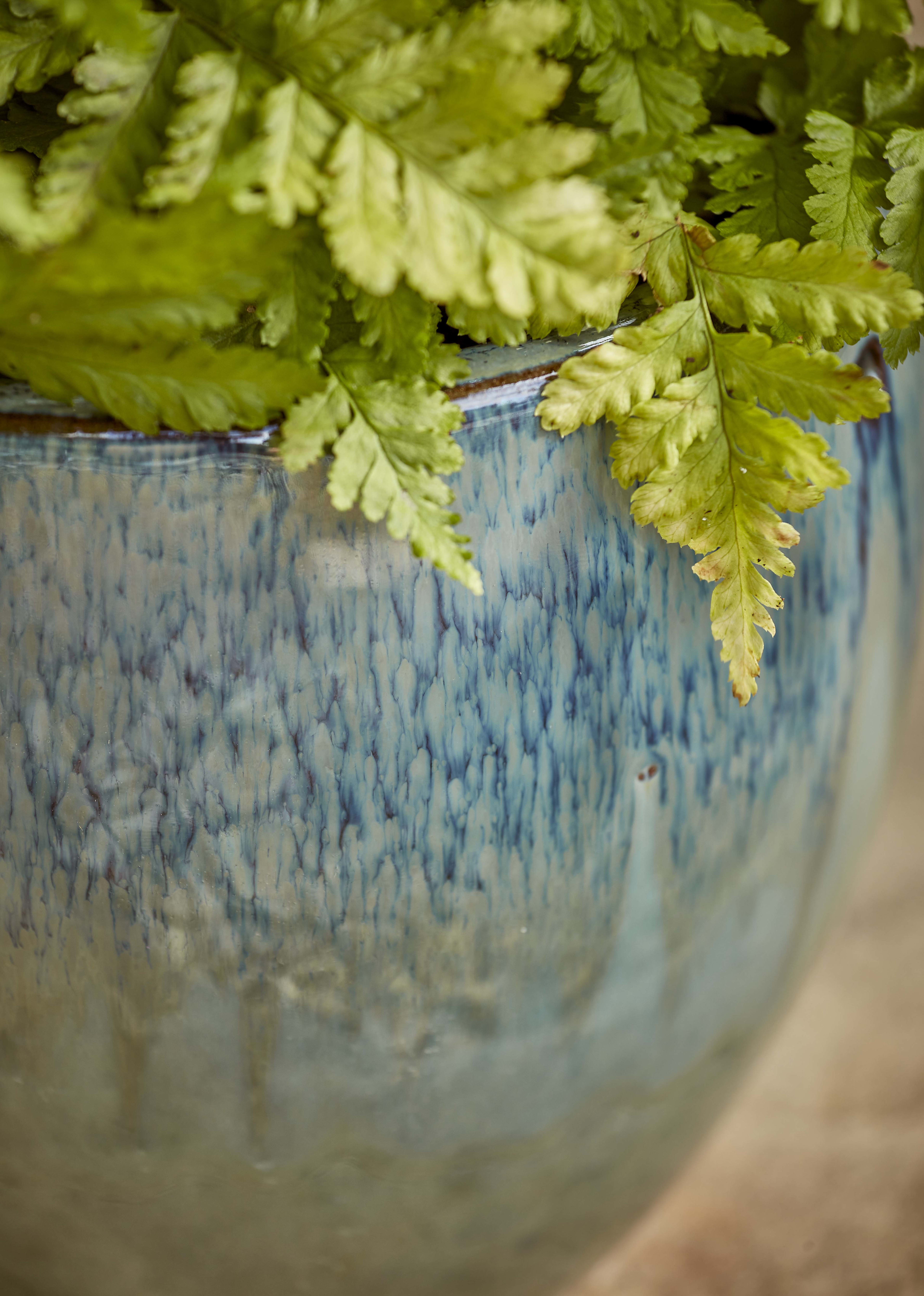 [object Object] image 2