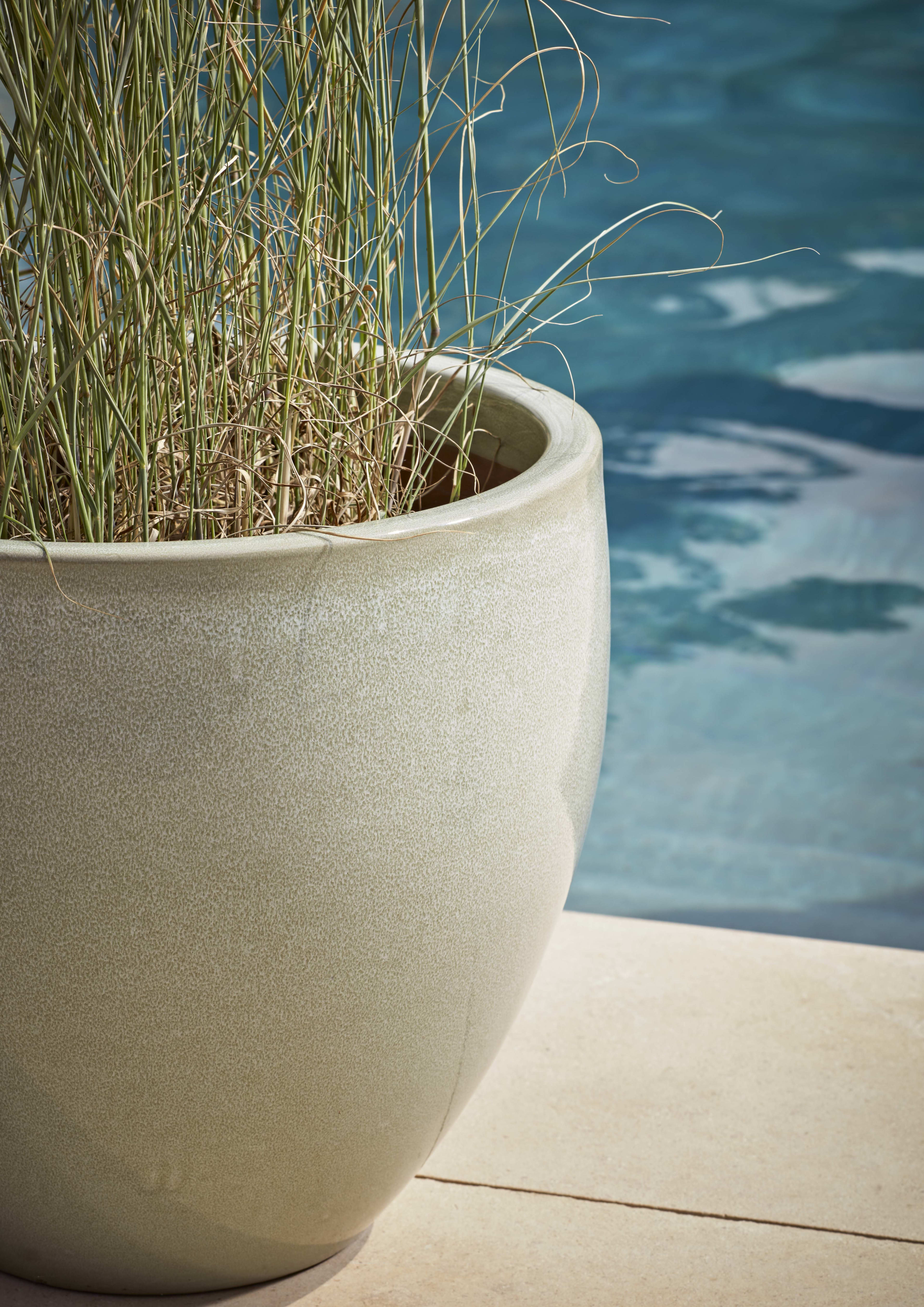 [object Object] image 2