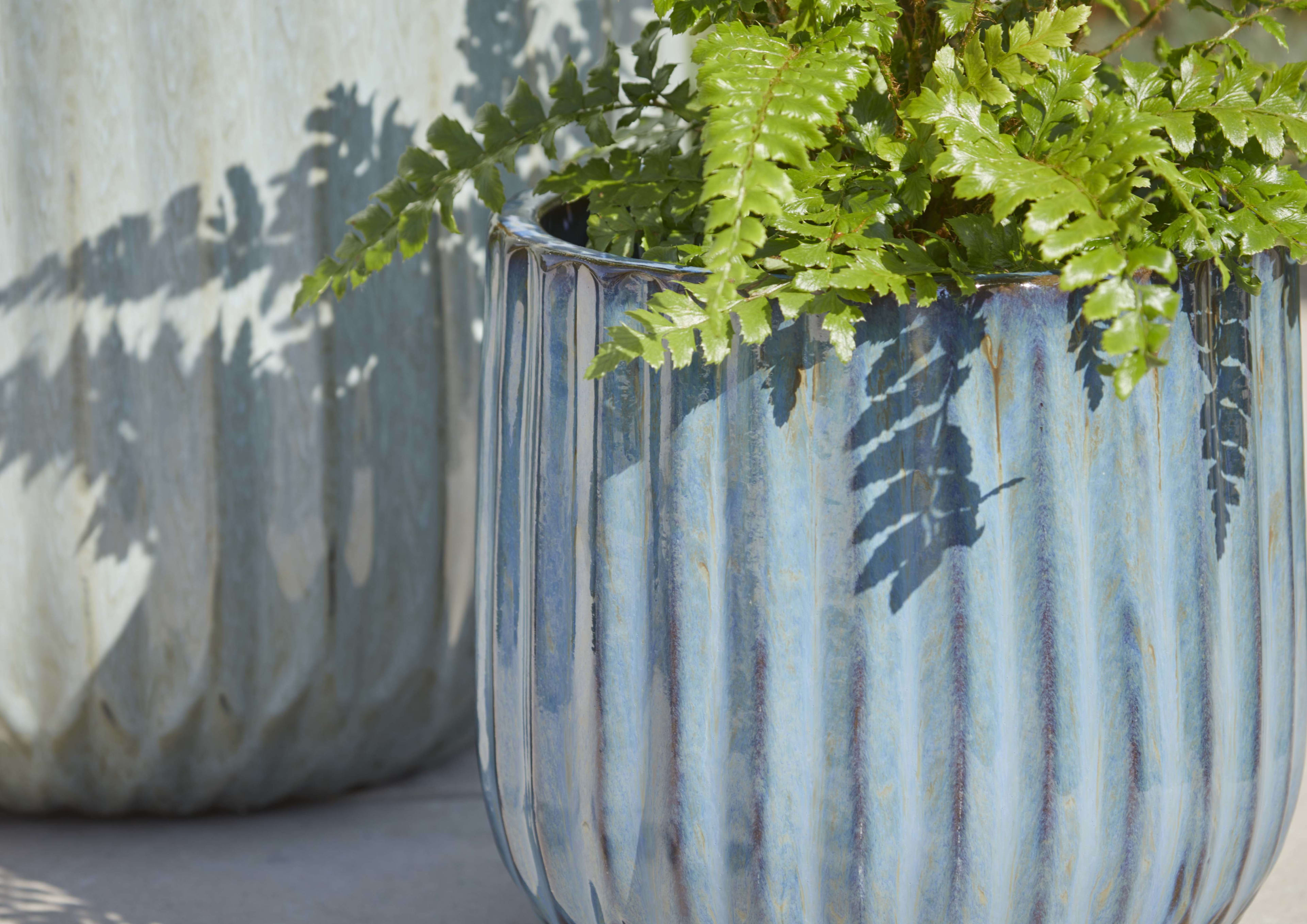 [object Object] image 2