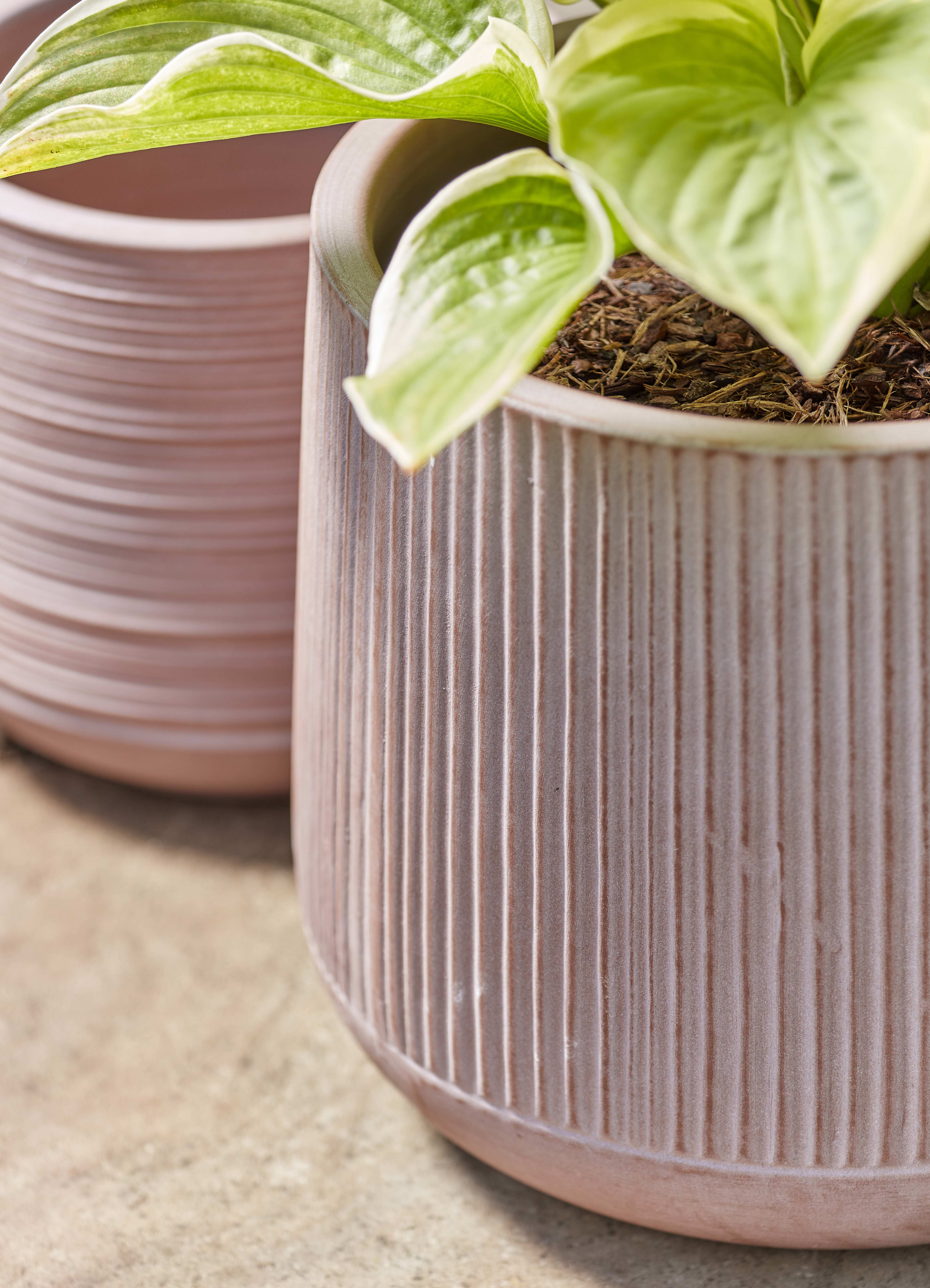 [object Object] image 2