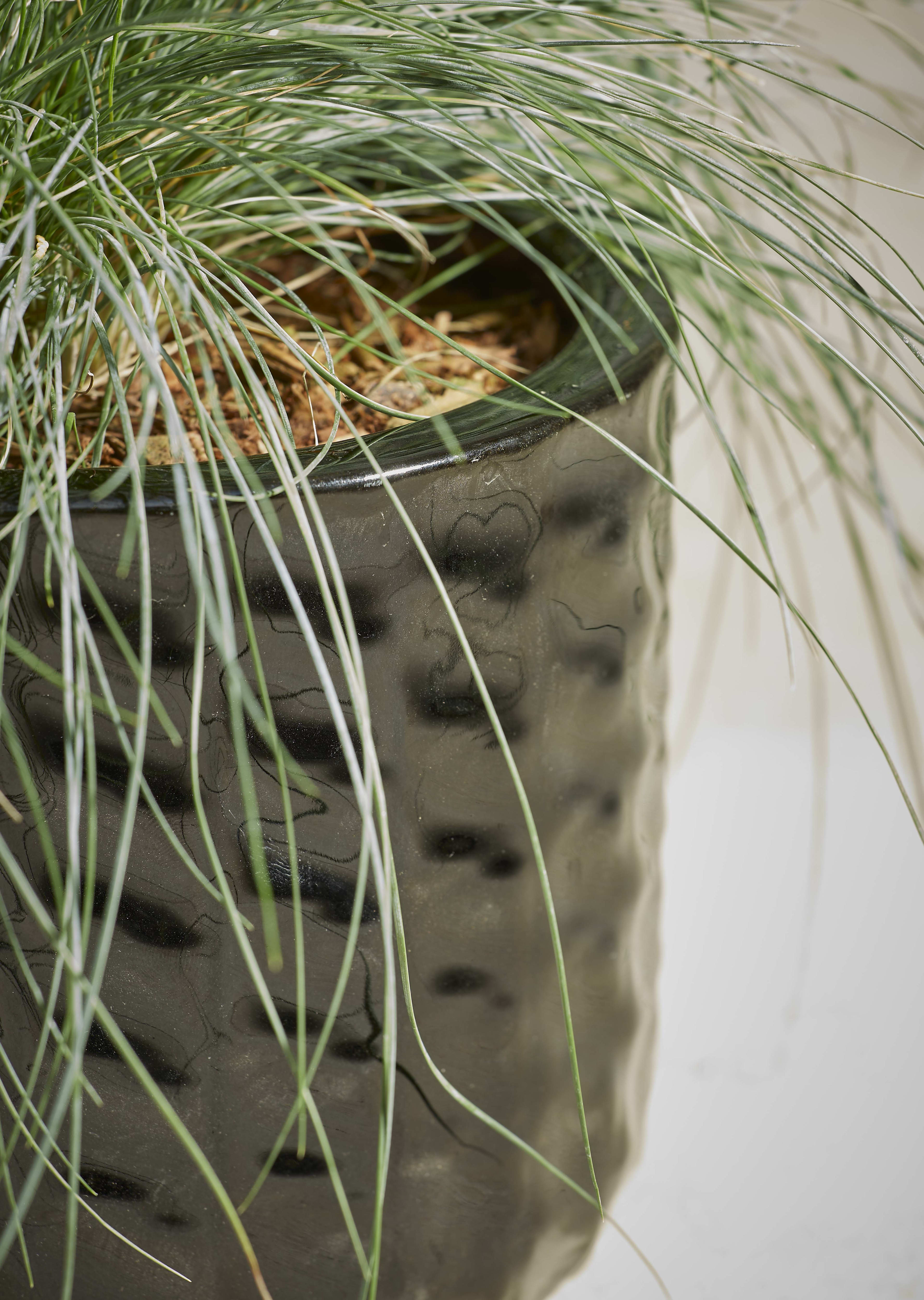 [object Object] image 3