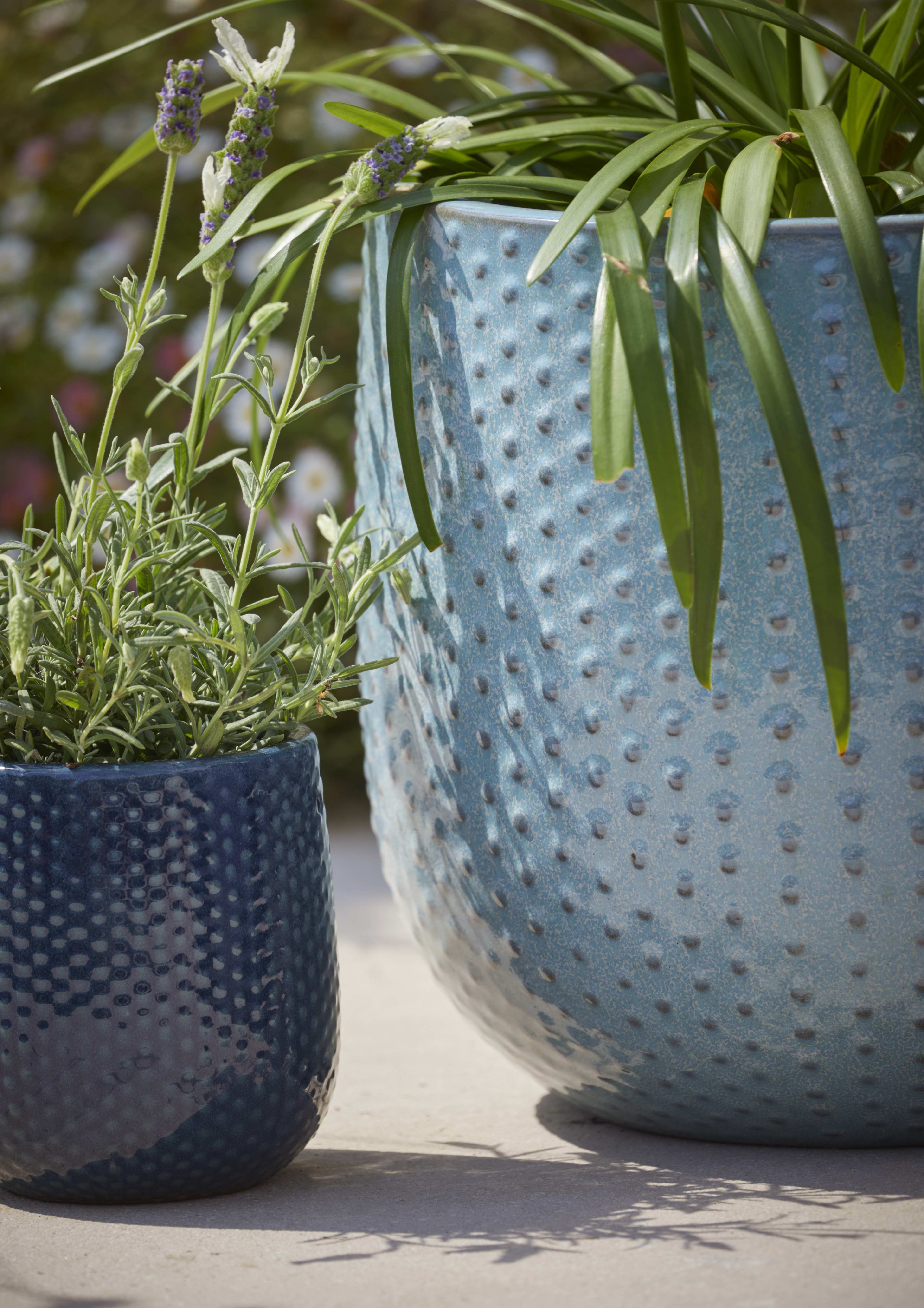 [object Object] image 3