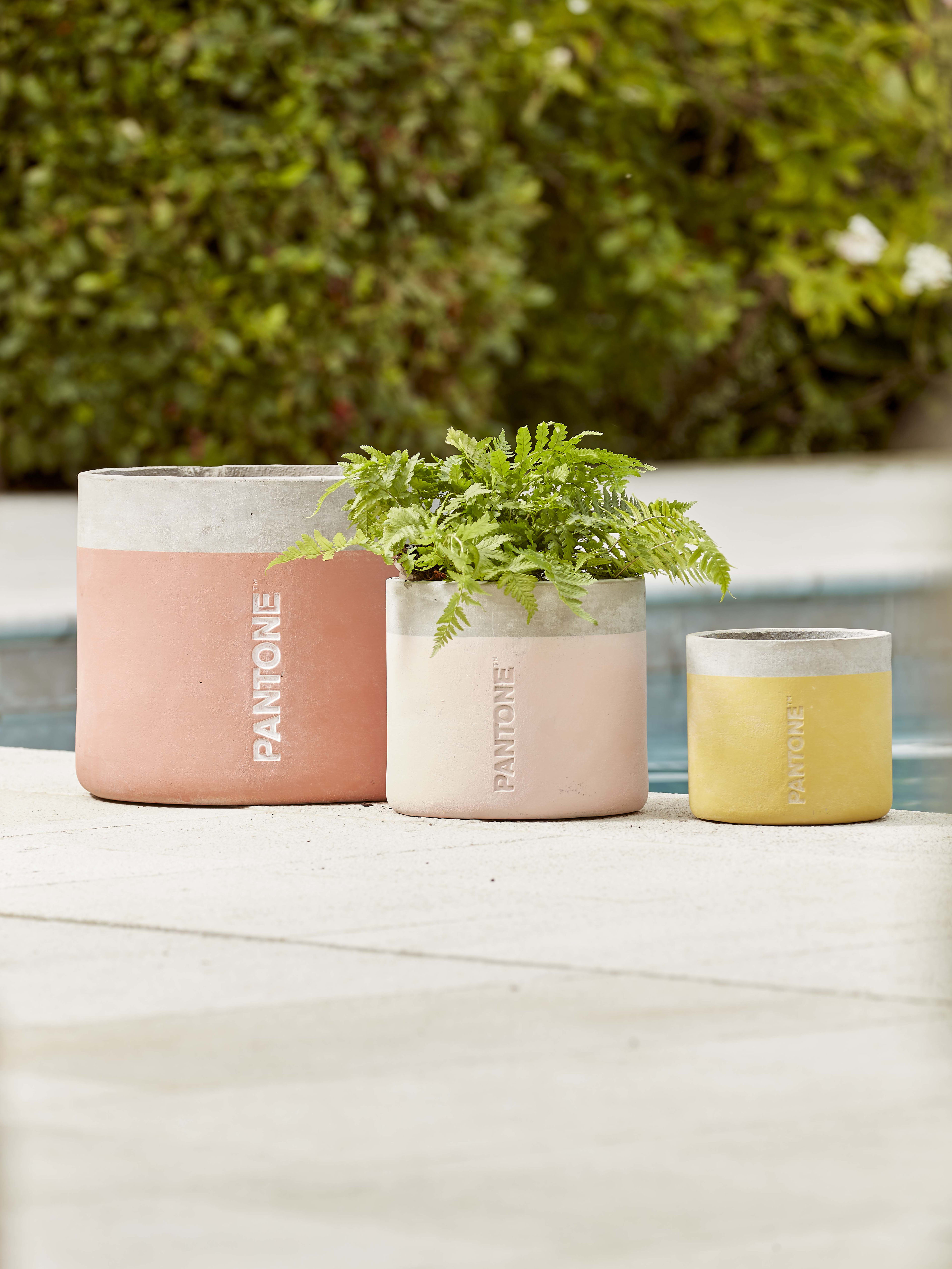 Dipped Pantone Pots lifestyle