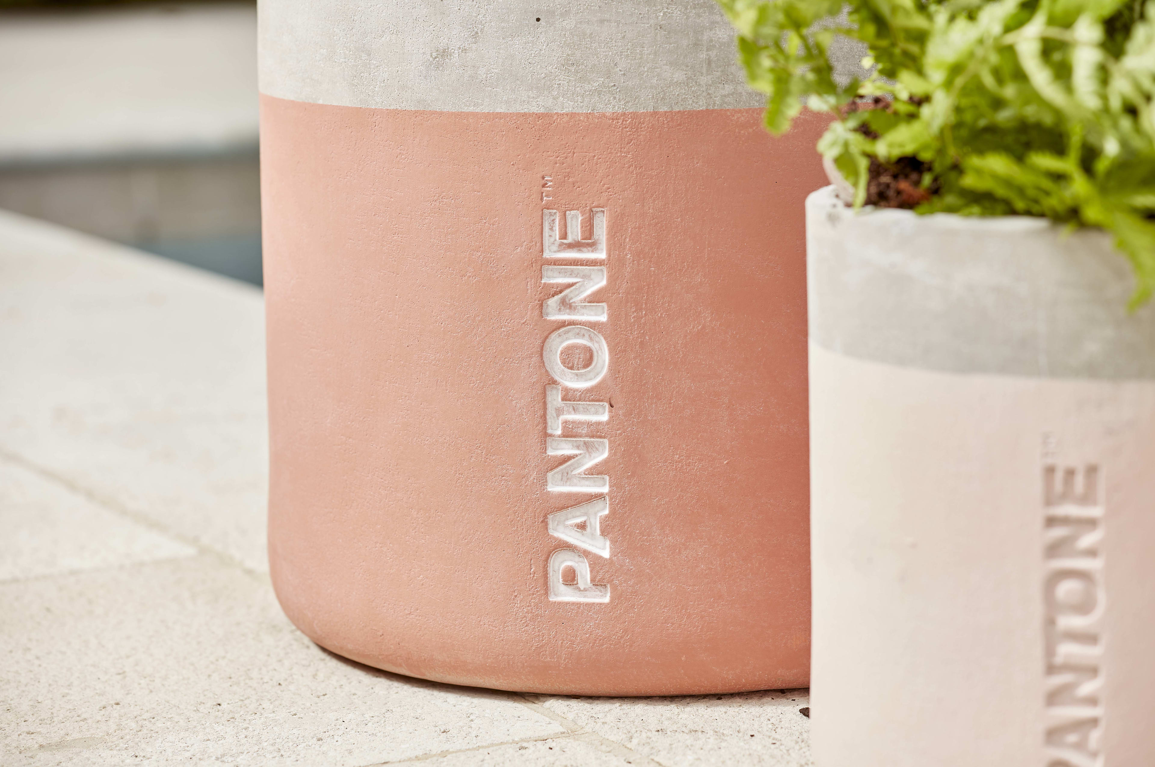 [object Object] image 5