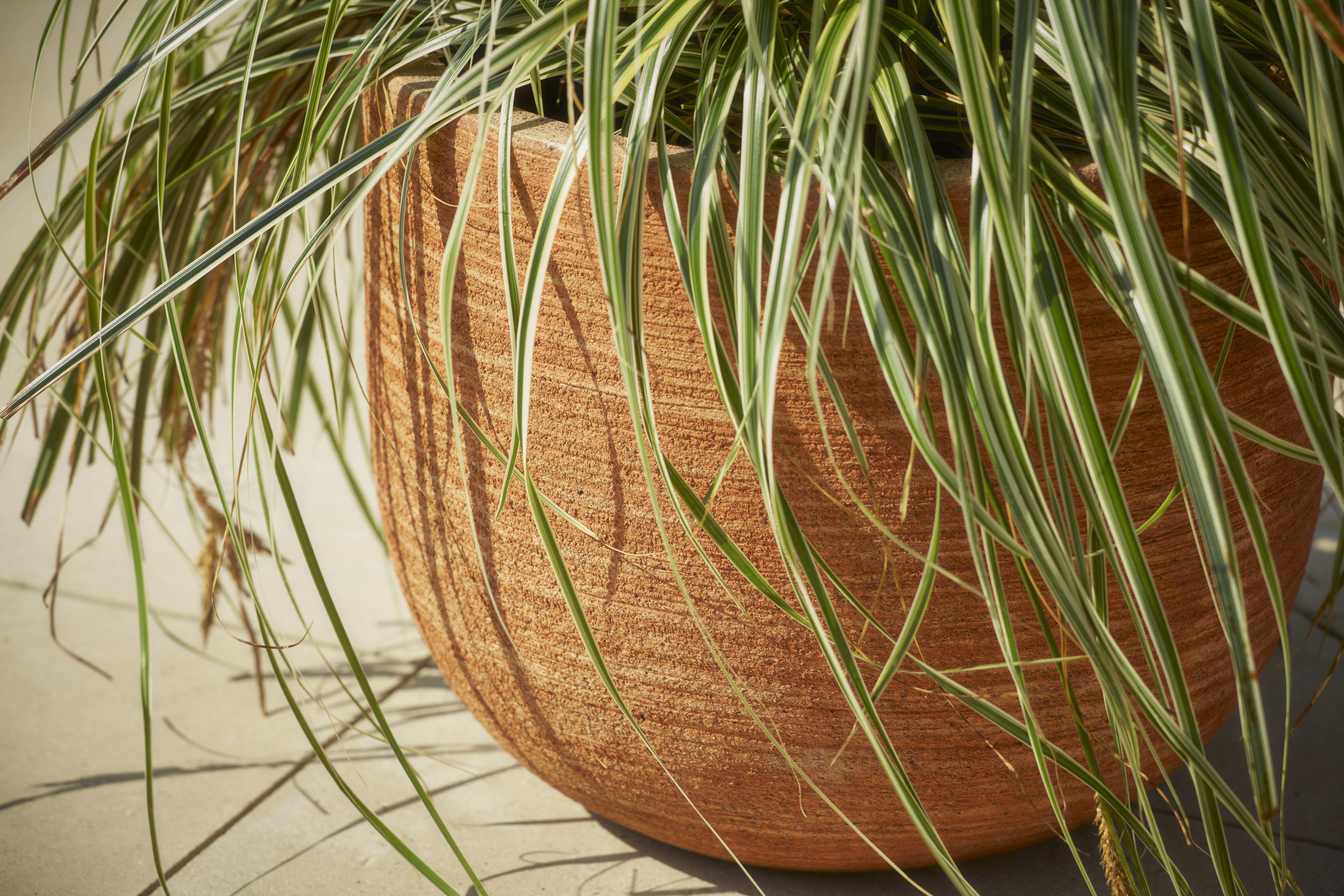 [object Object] image 2