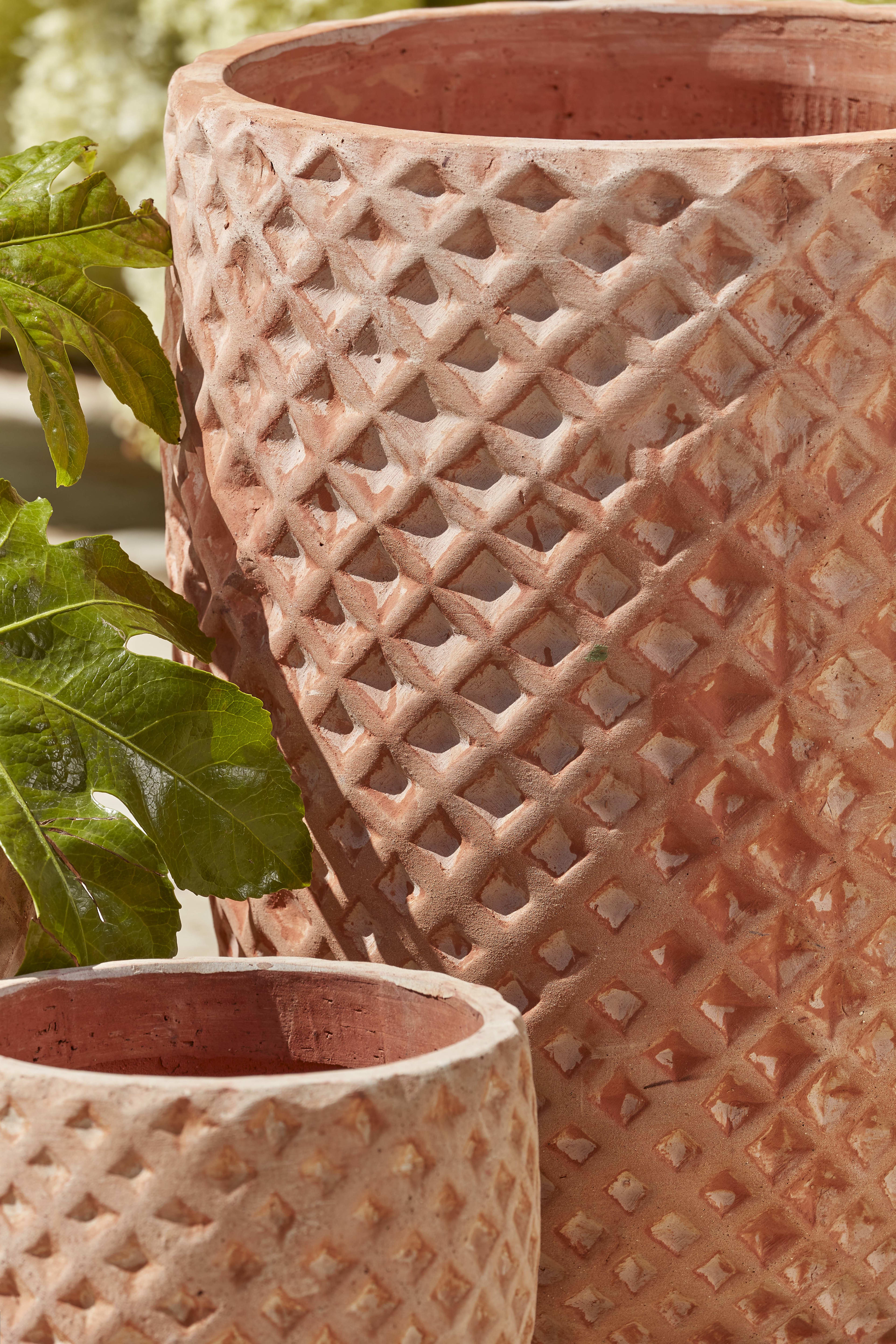 [object Object] image 3