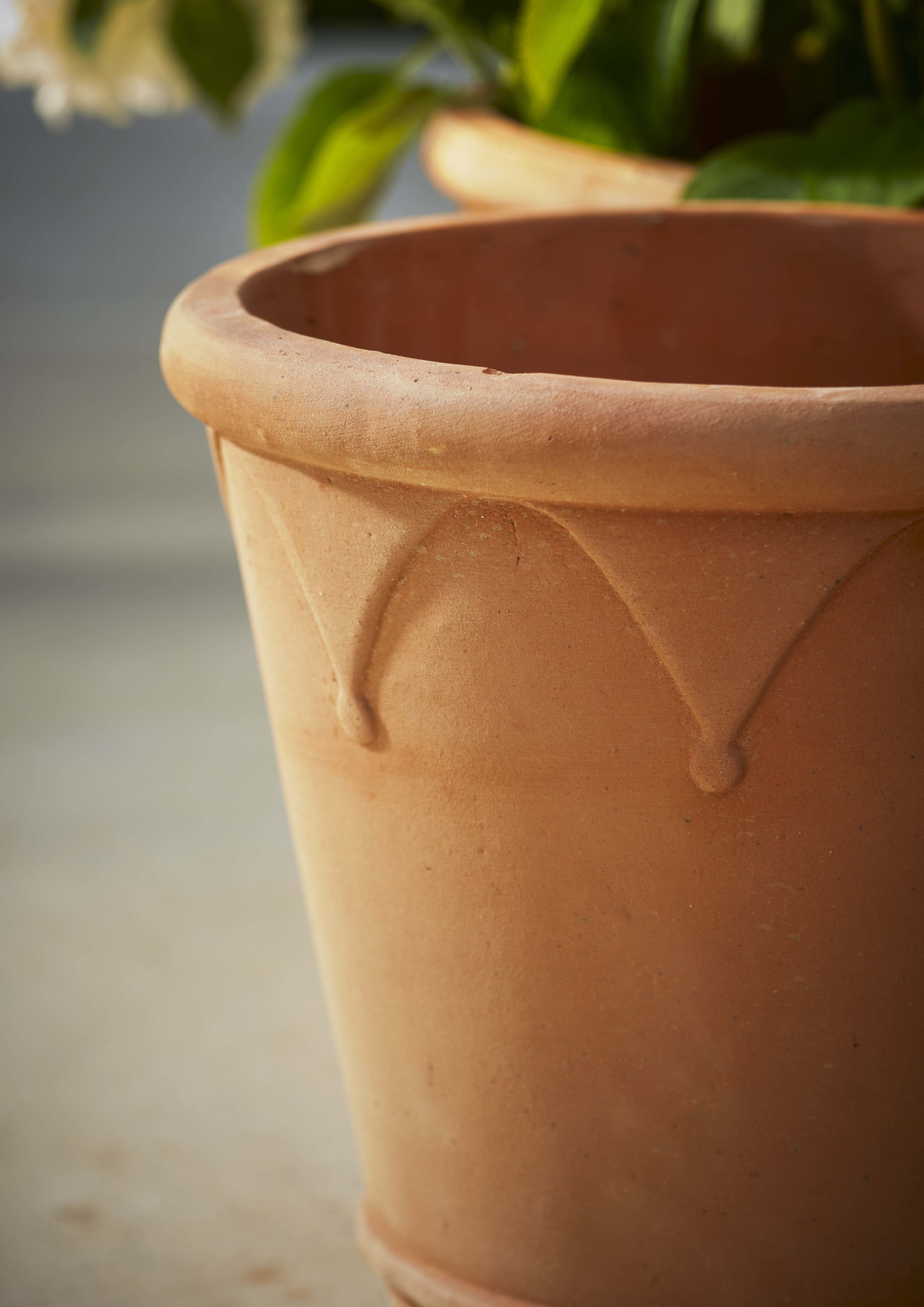 [object Object] image 2