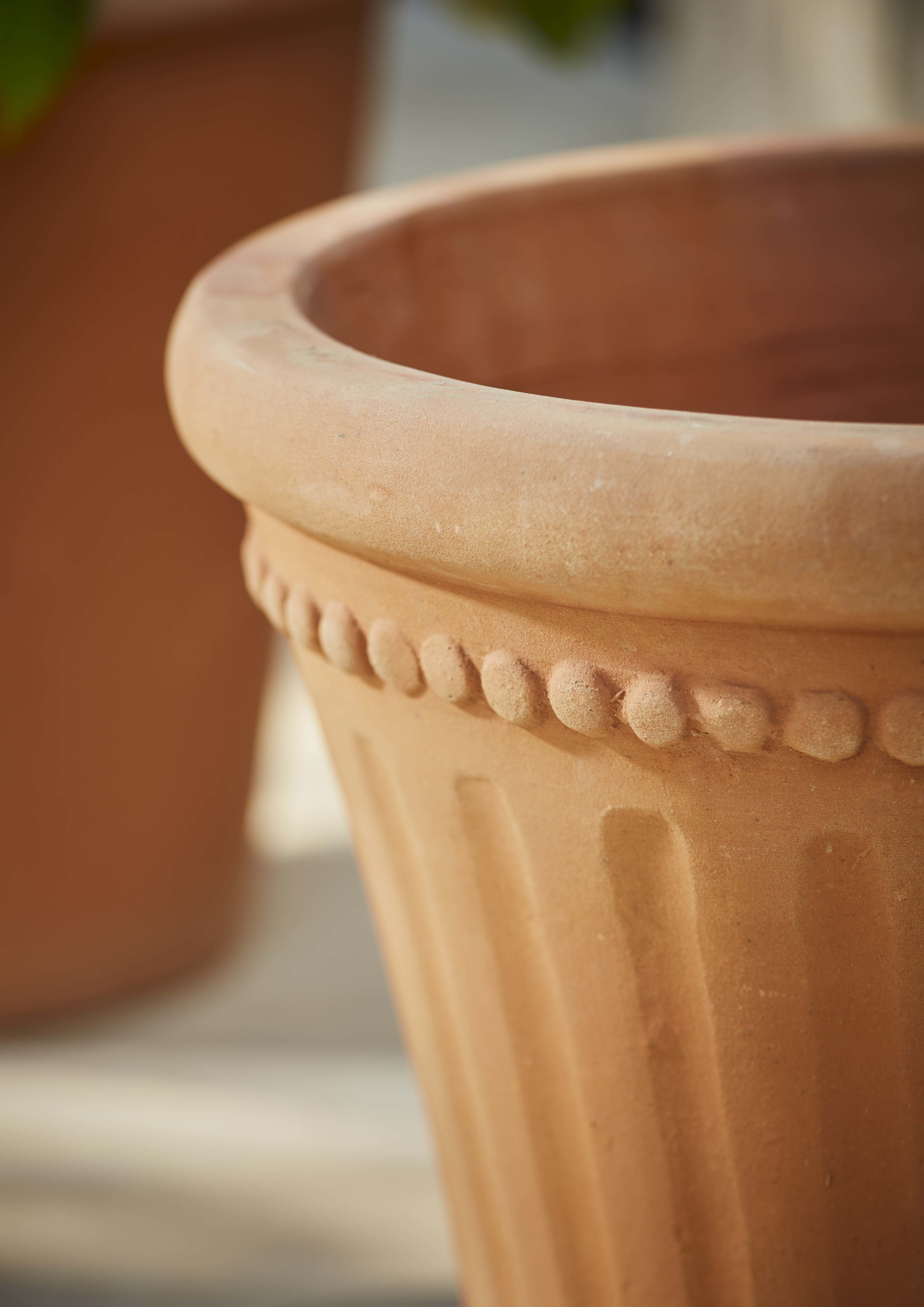 [object Object] image 3