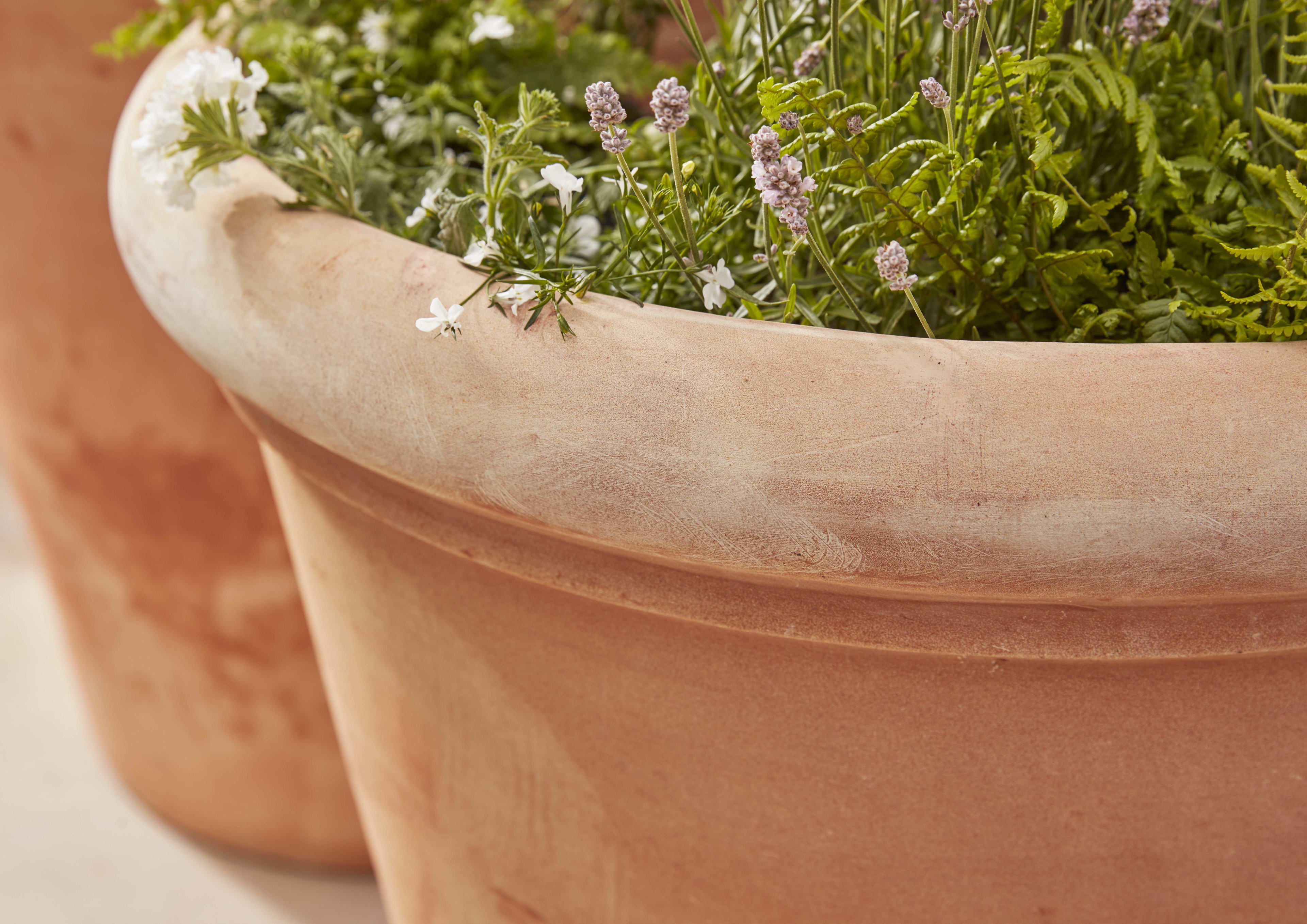 [object Object] image 2