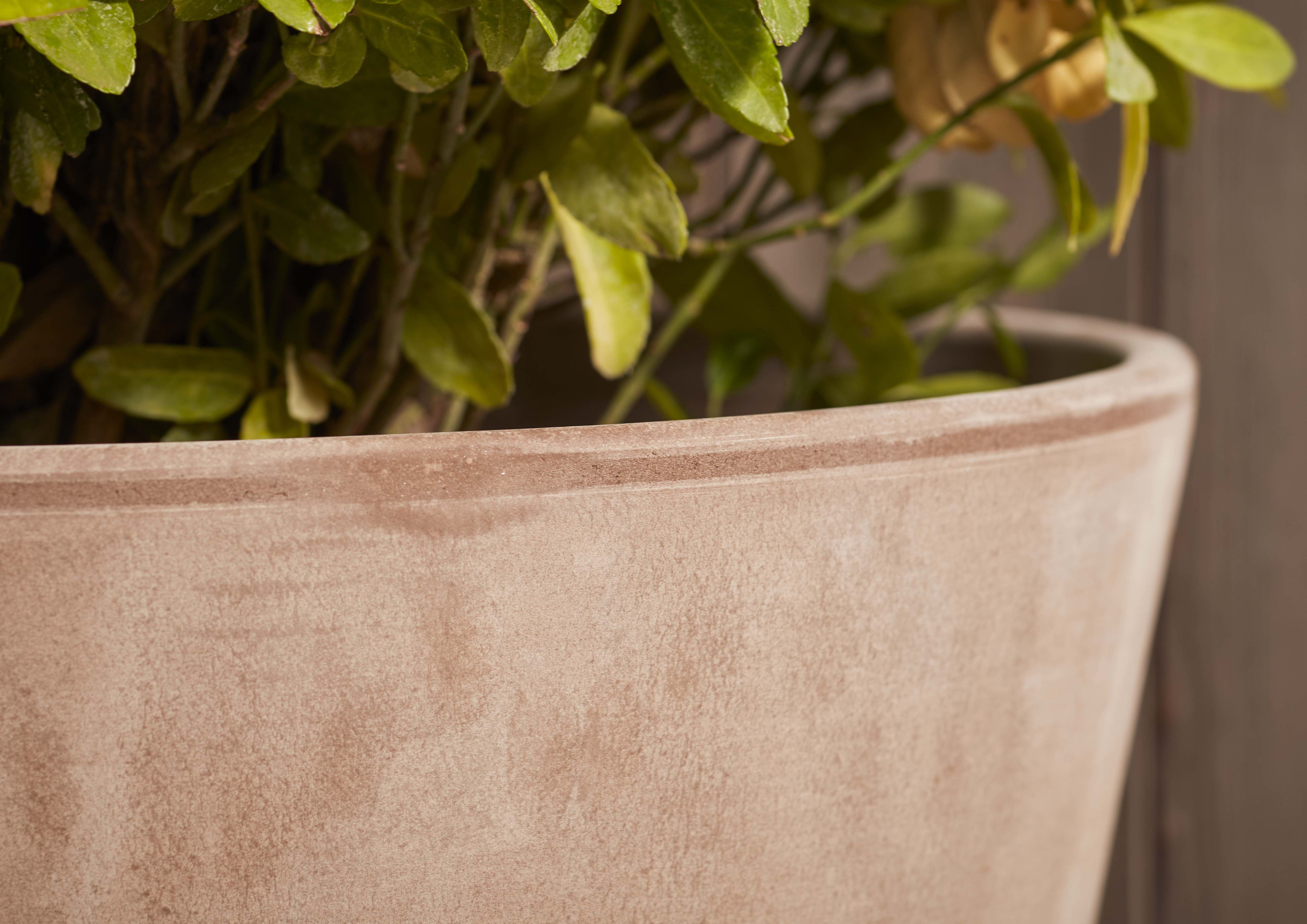 [object Object] image 2