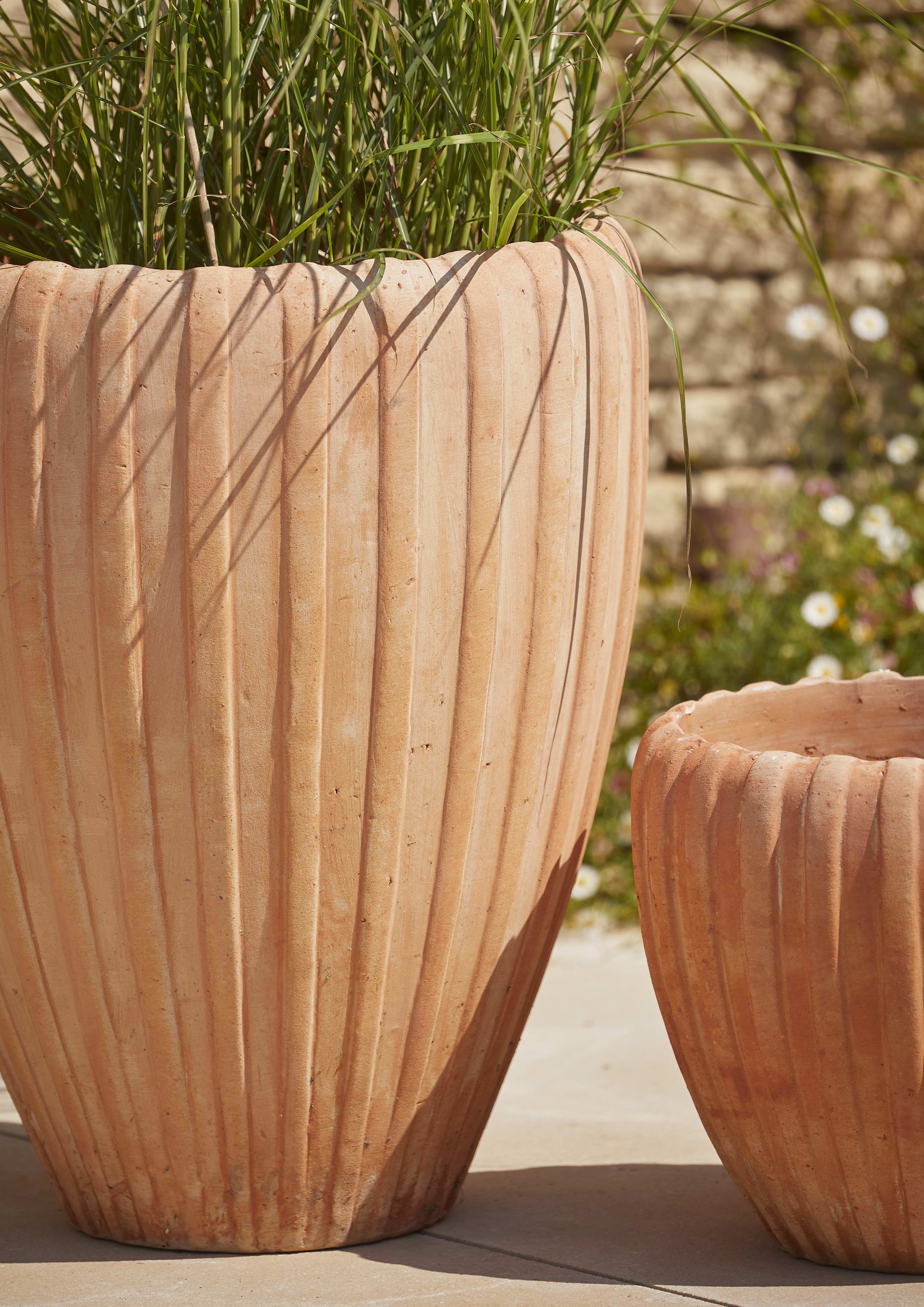 [object Object] image 2