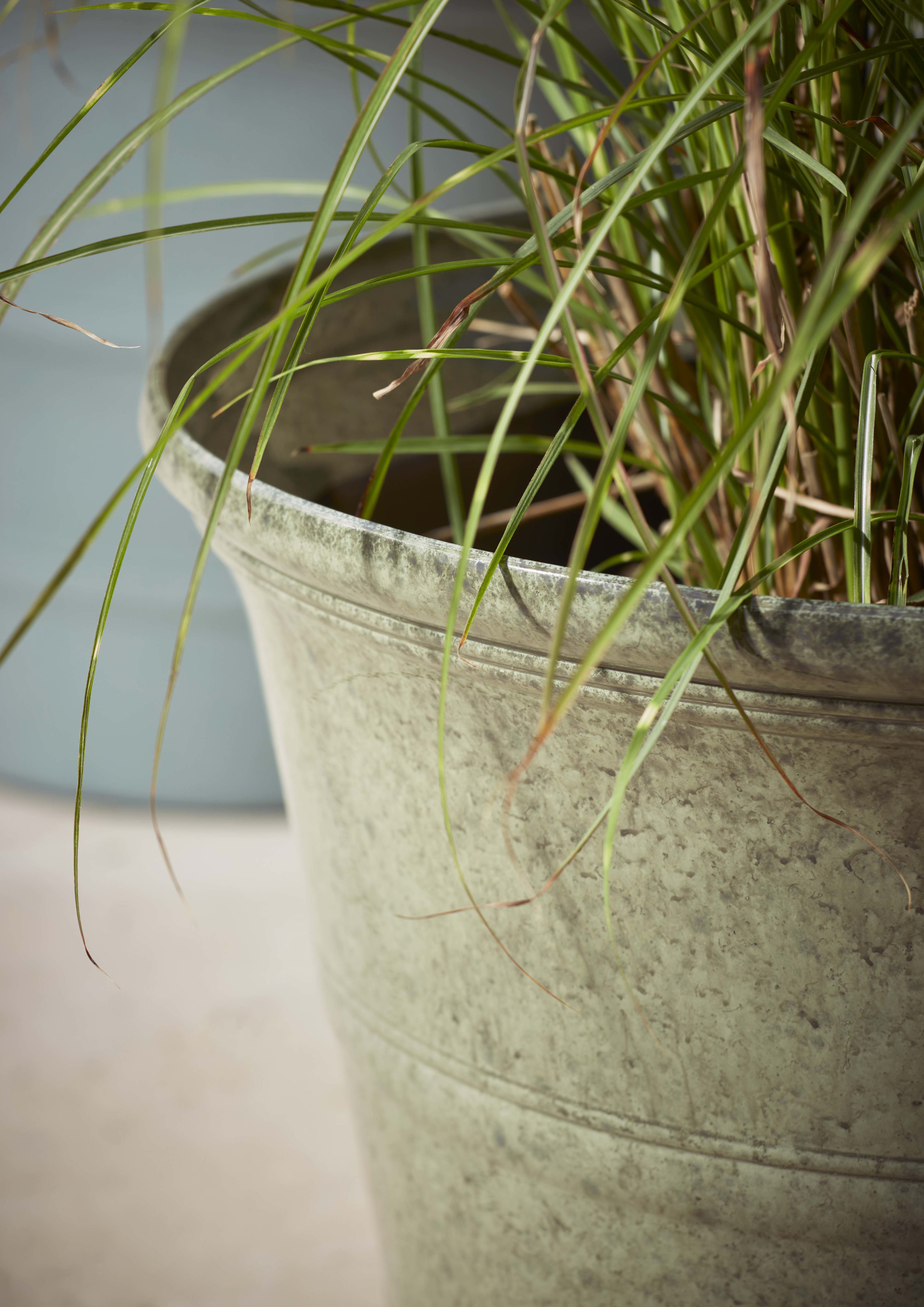 [object Object] image 2