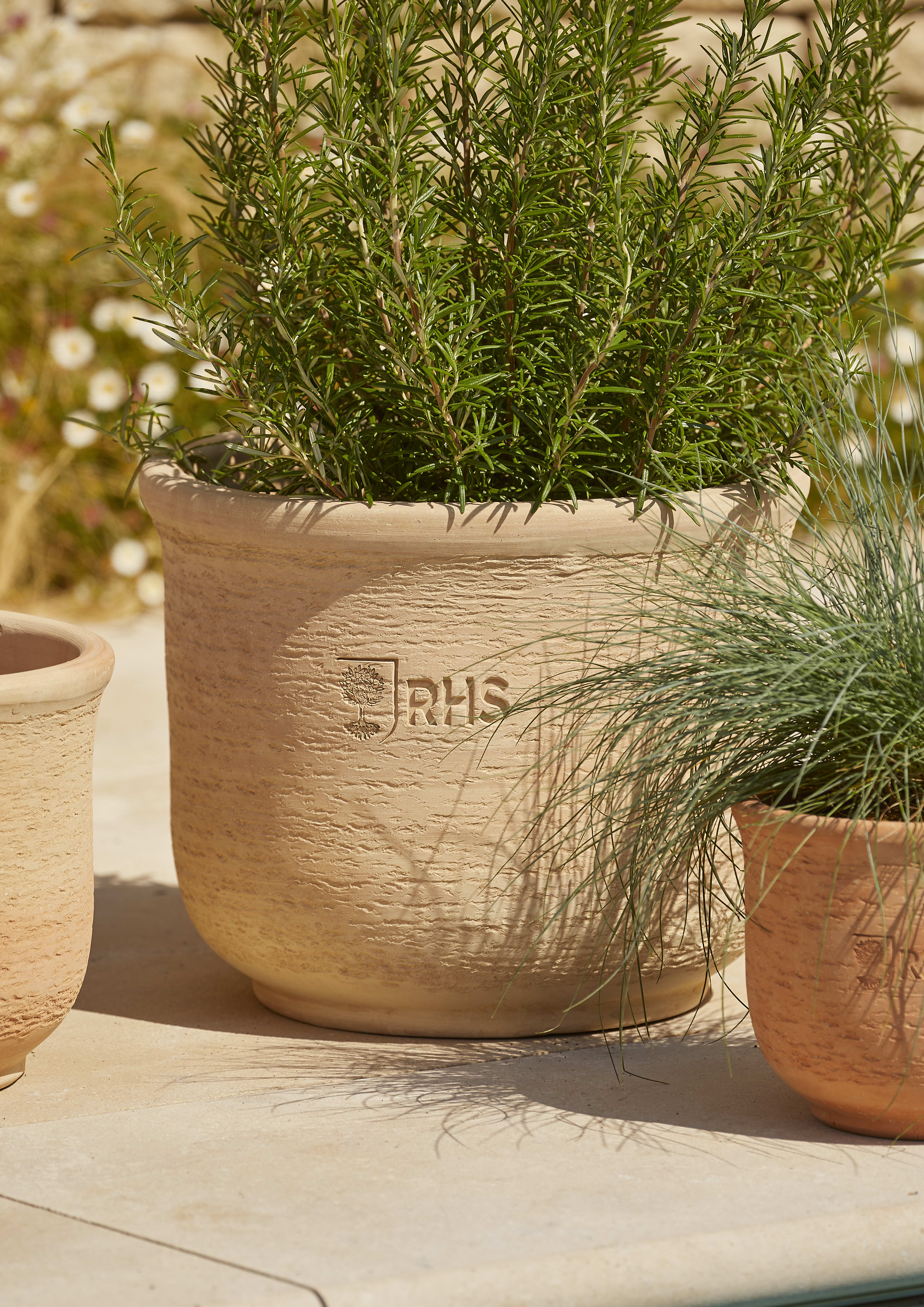 [object Object] image 2