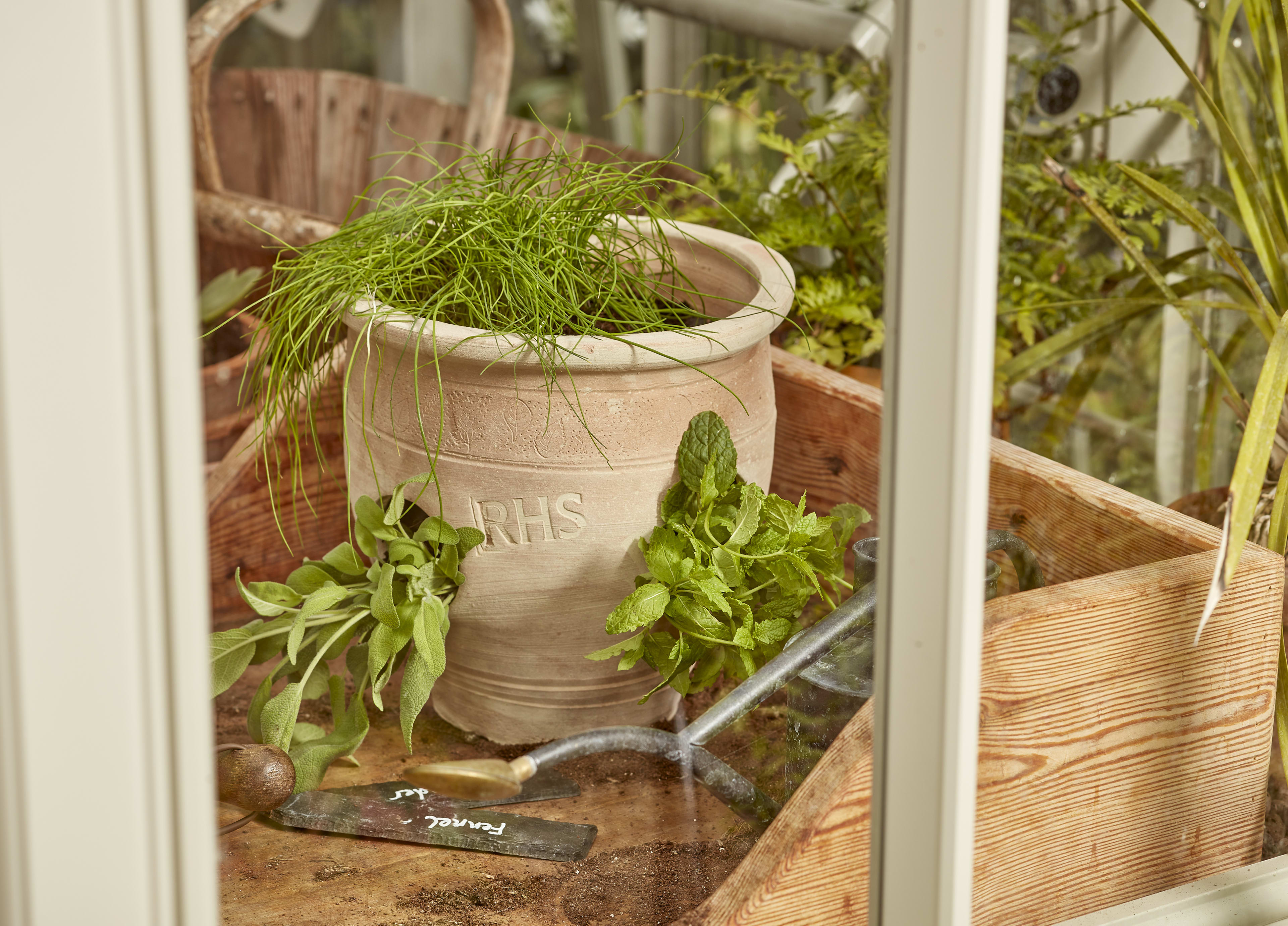 [object Object] image 1