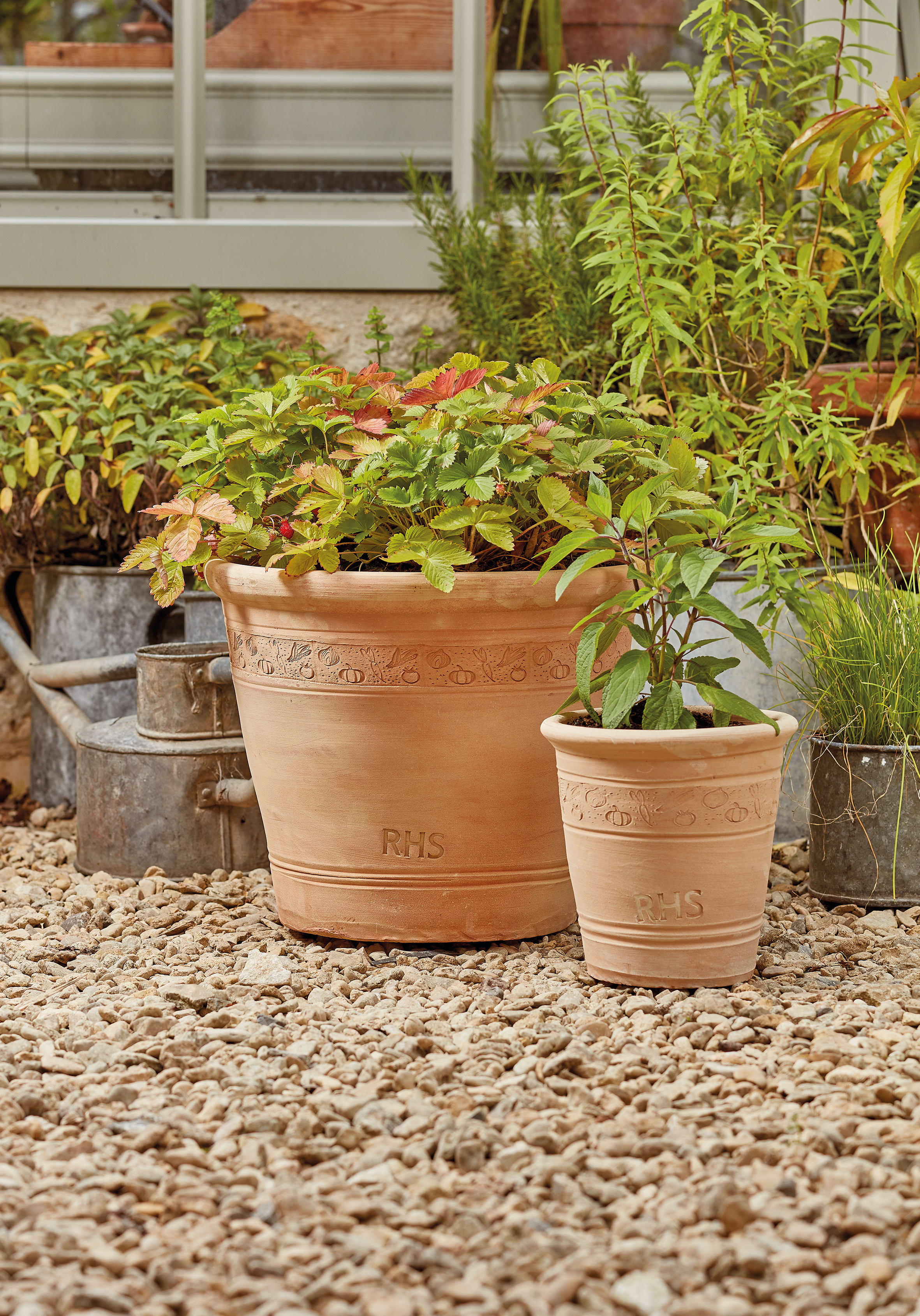 [object Object] image 1