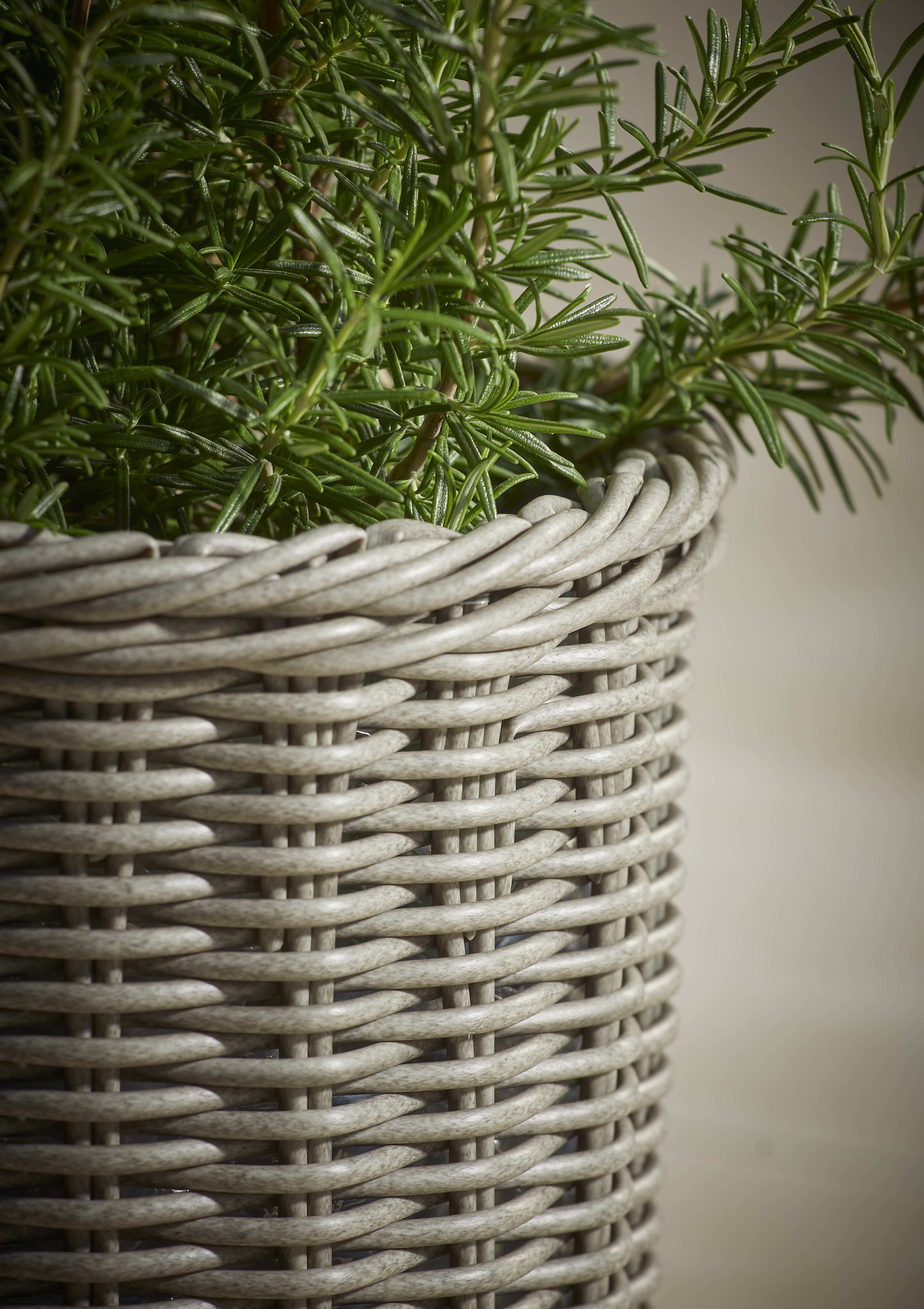 [object Object] image 2