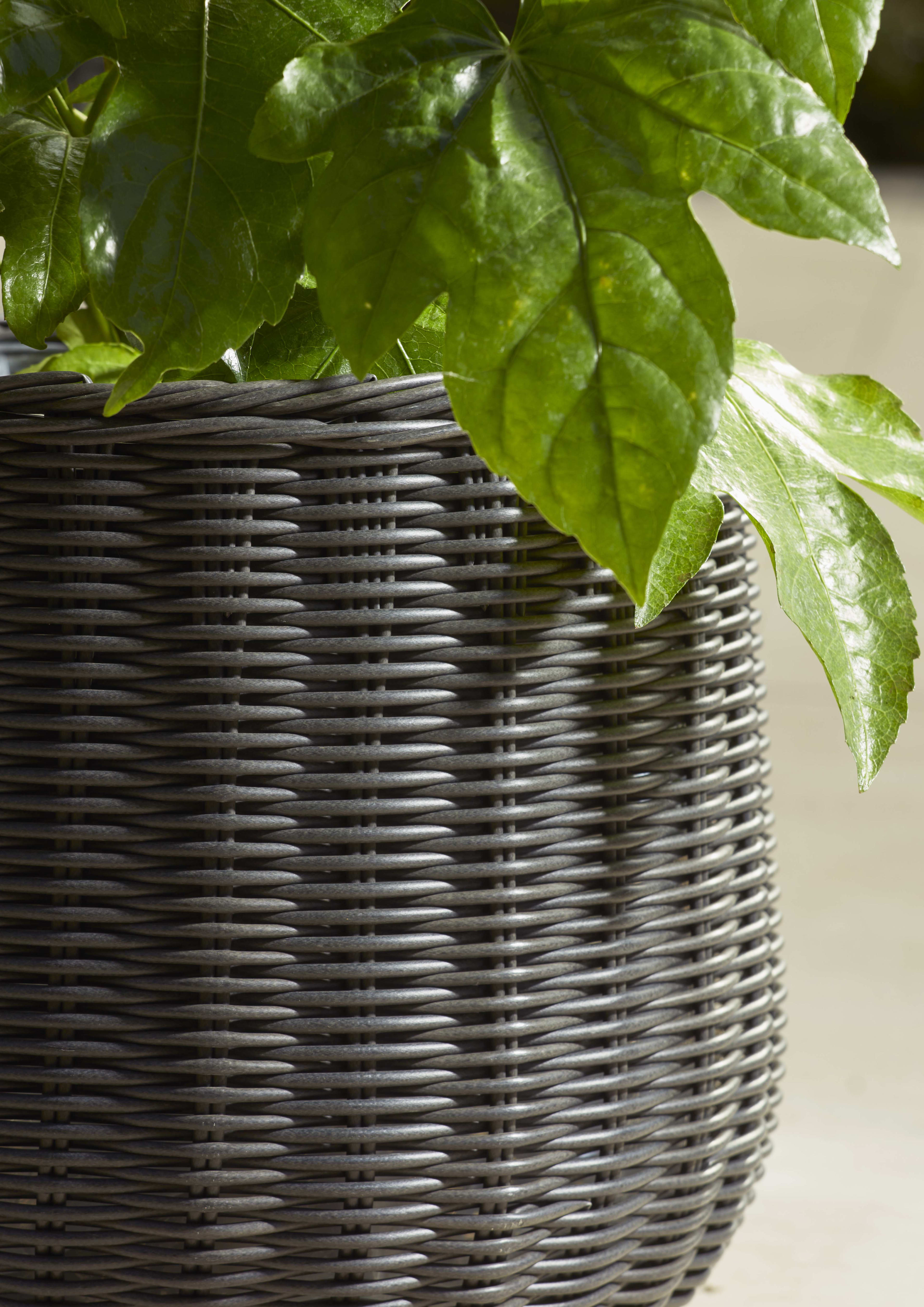 [object Object] image 2