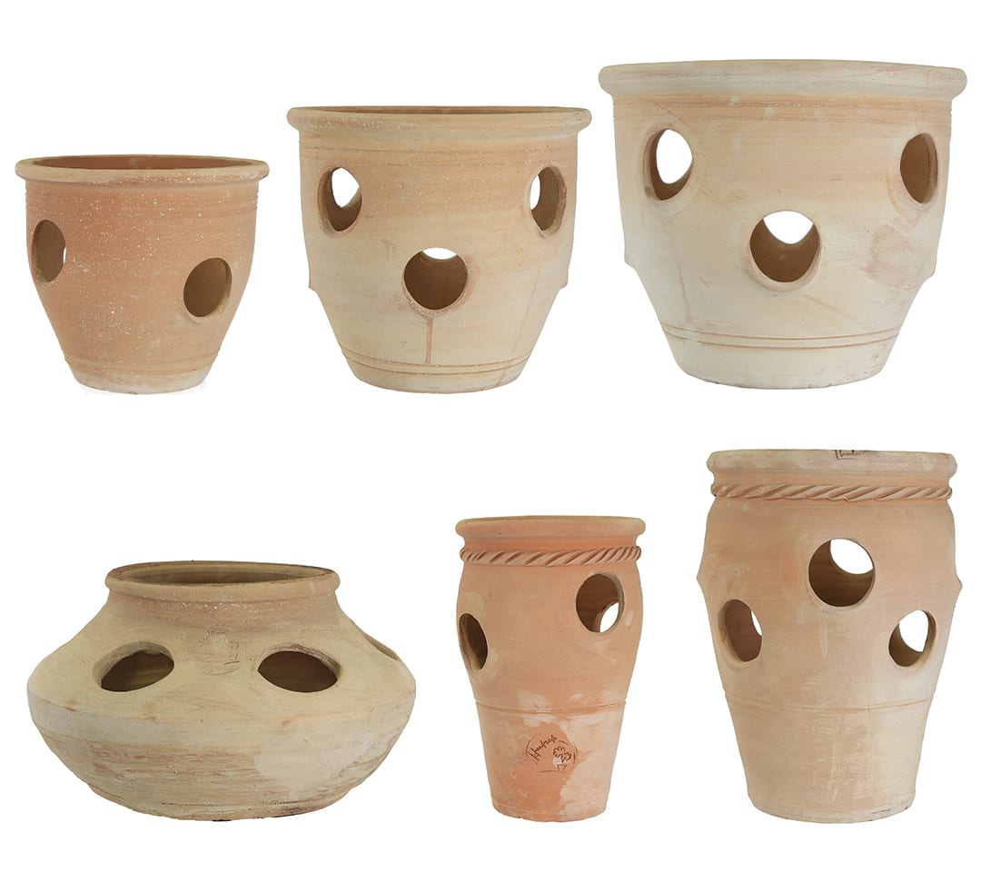 [object Object] image 0