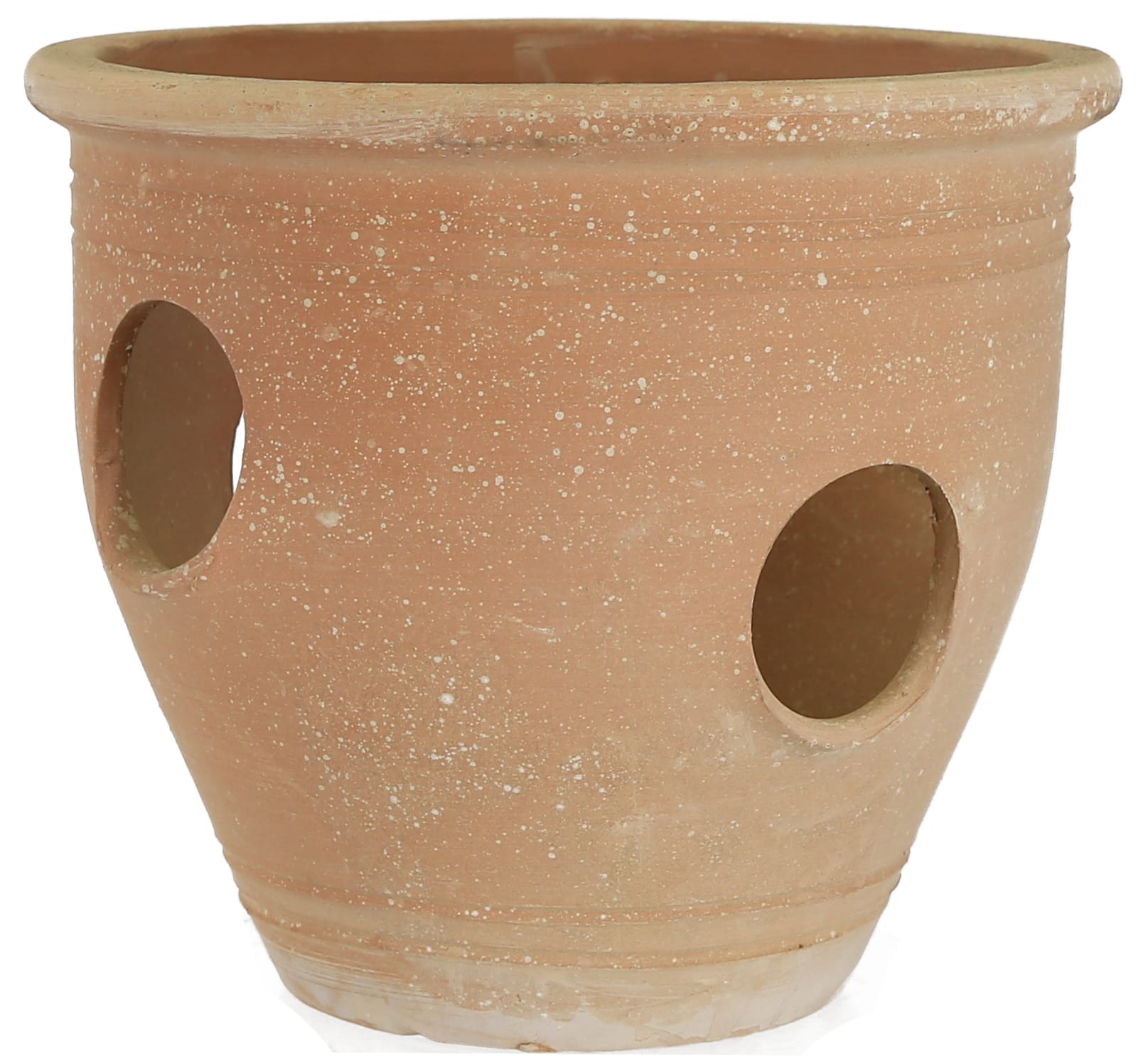 [object Object] image 2