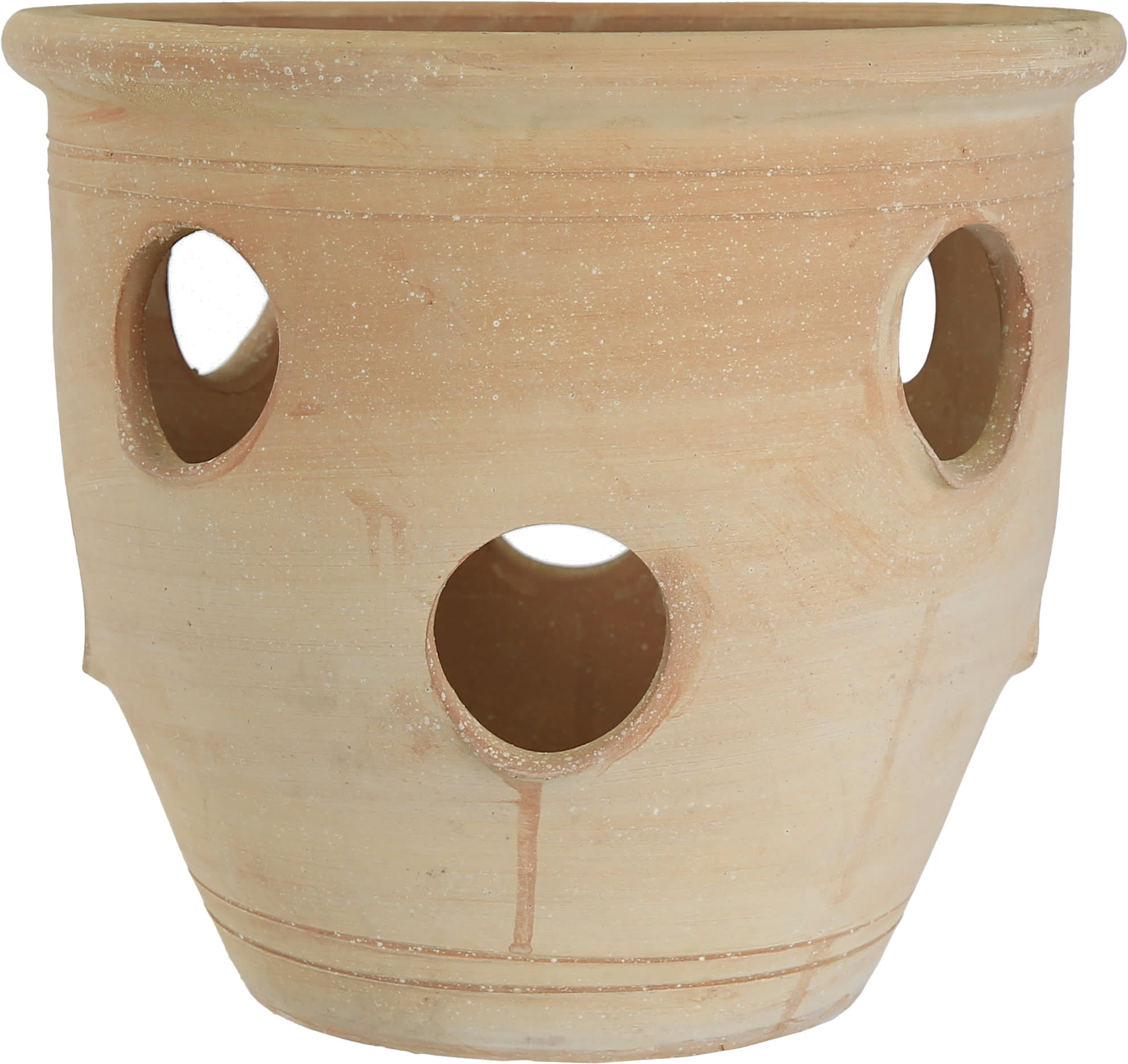 [object Object] image 4