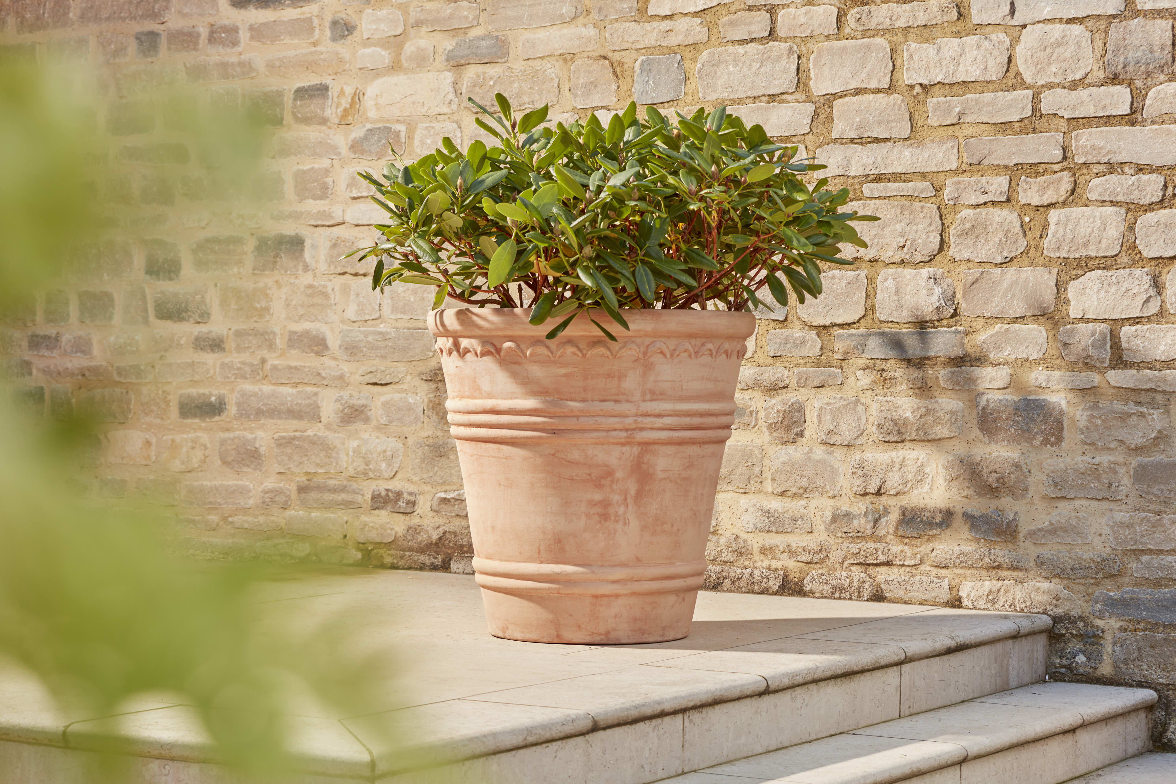 [object Object] image 2