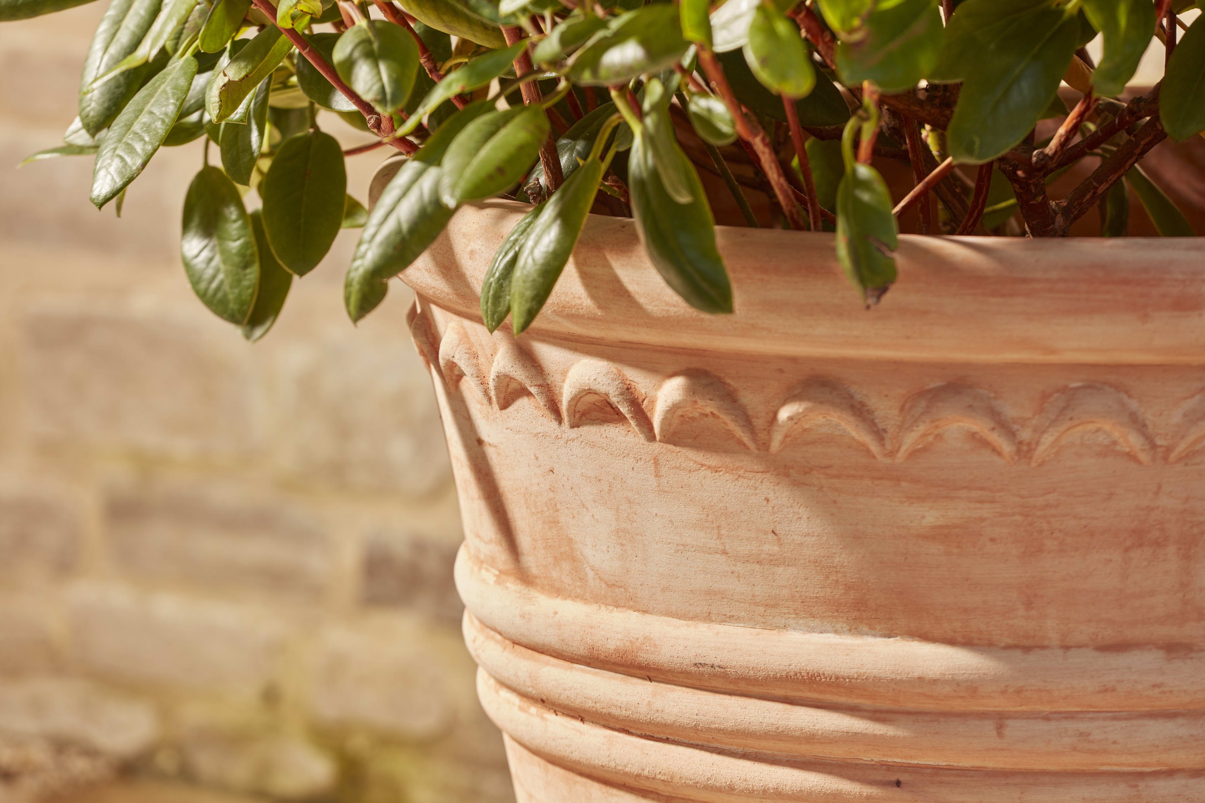 [object Object] image 3