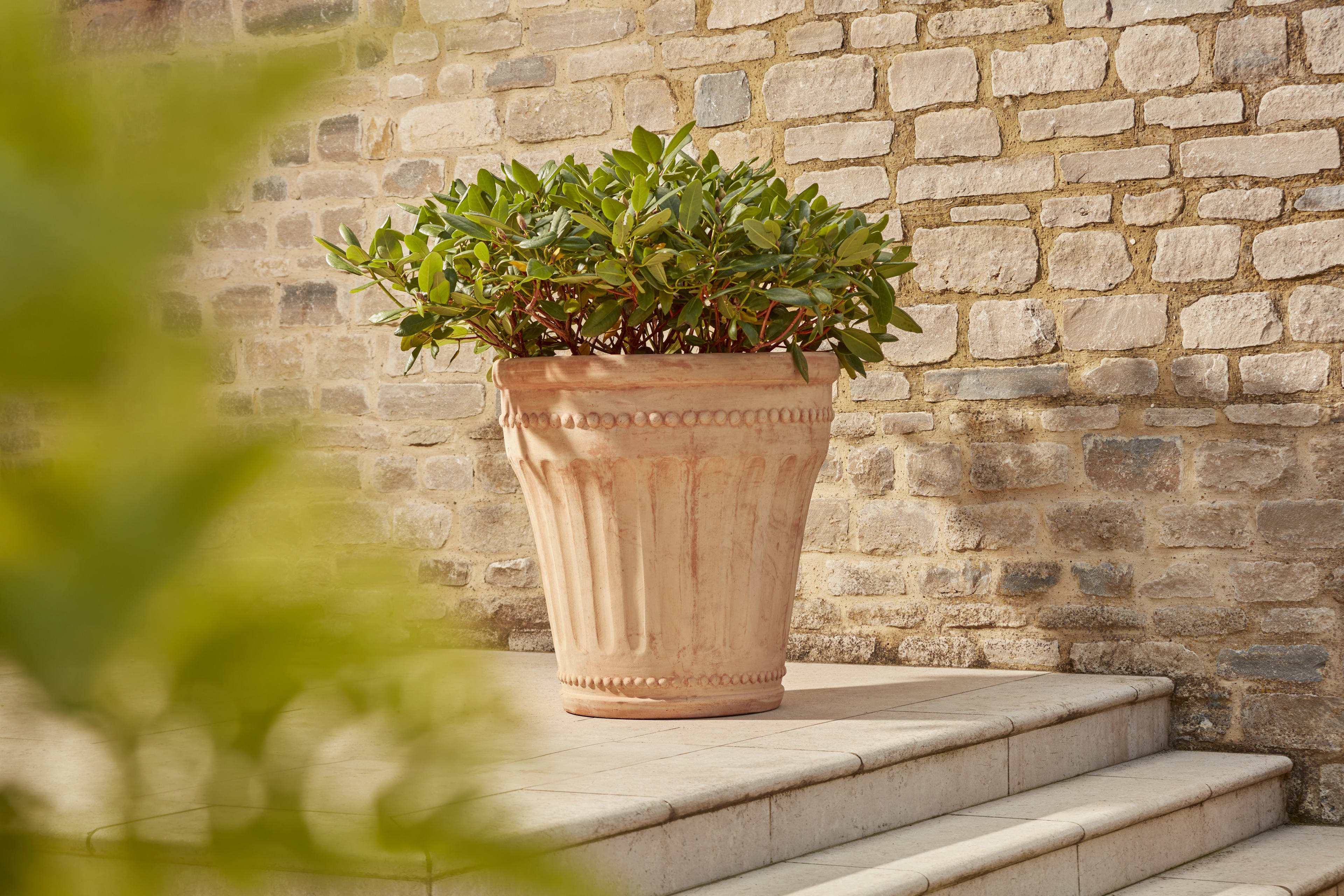 [object Object] image 2