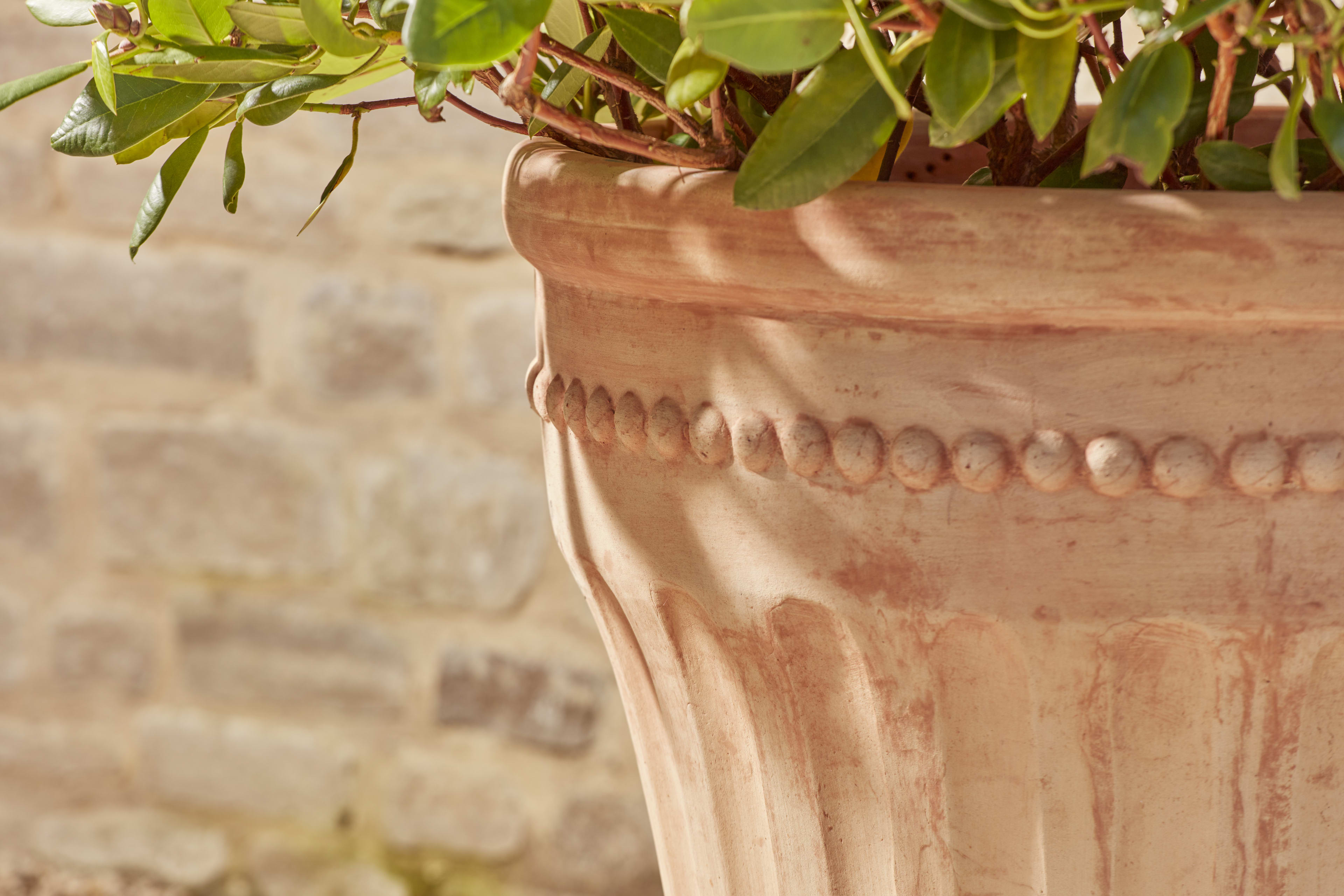 [object Object] image 3