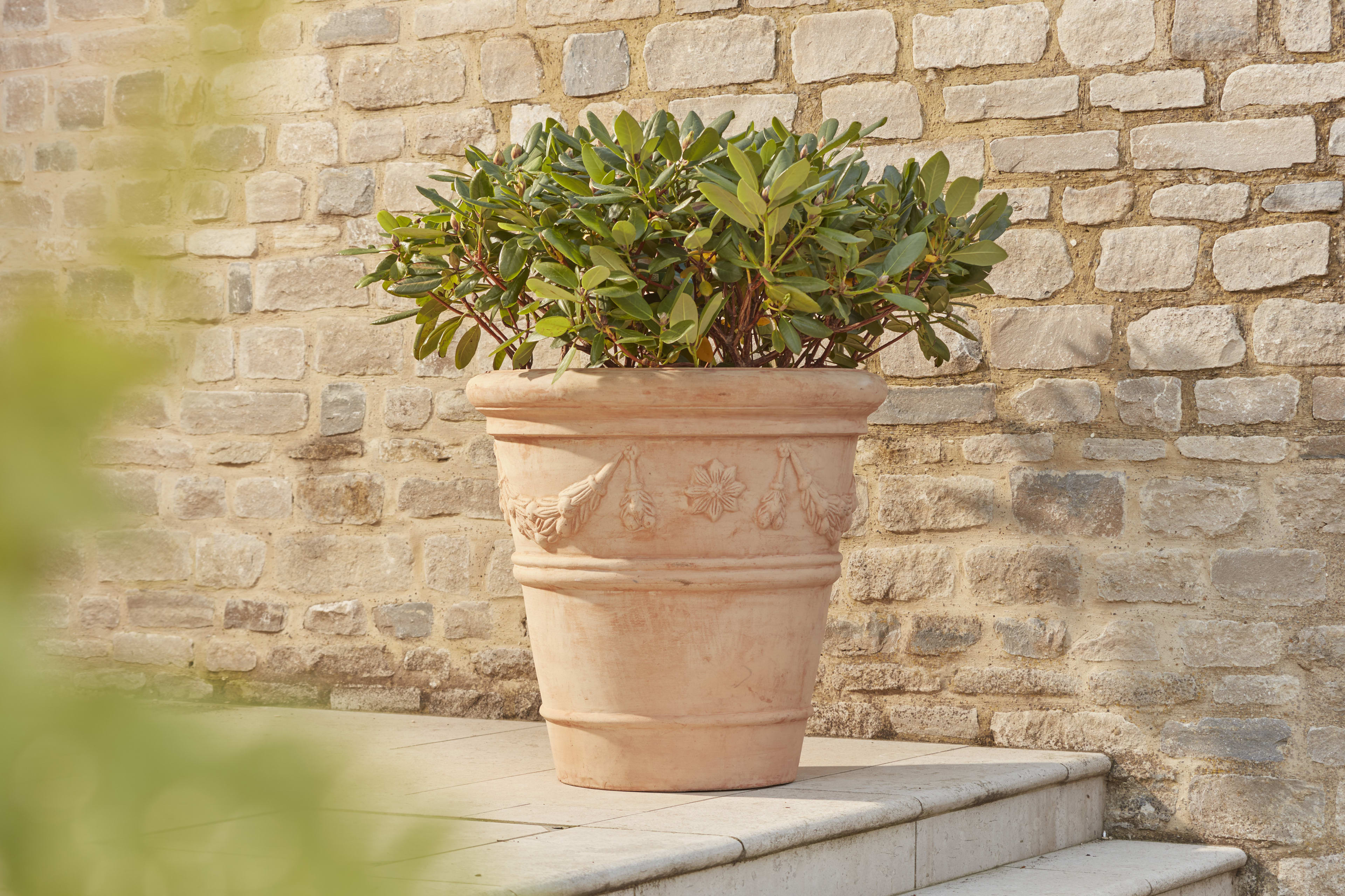 [object Object] image 2