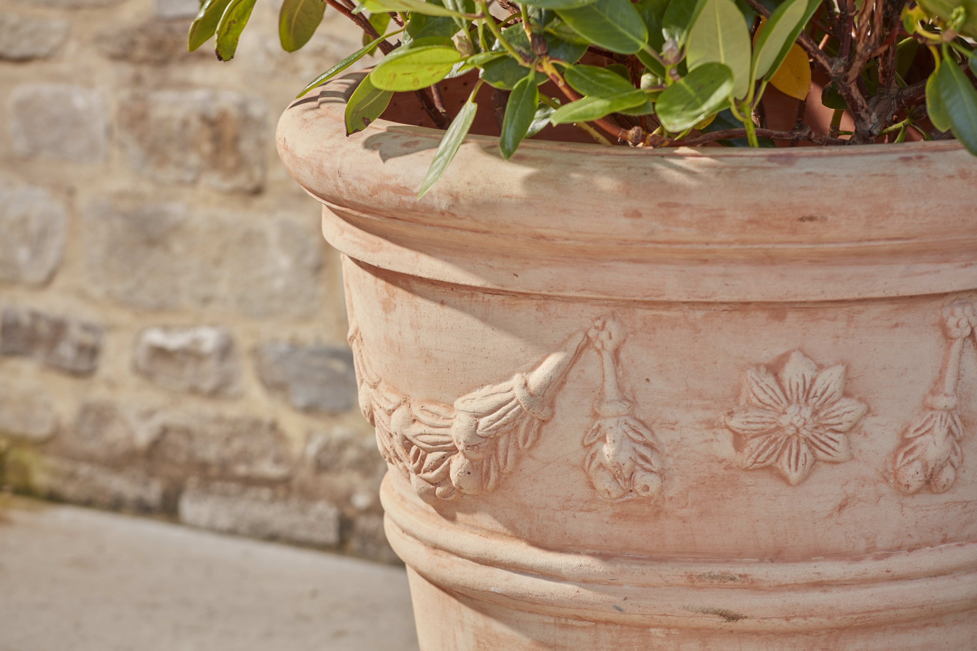 [object Object] image 3