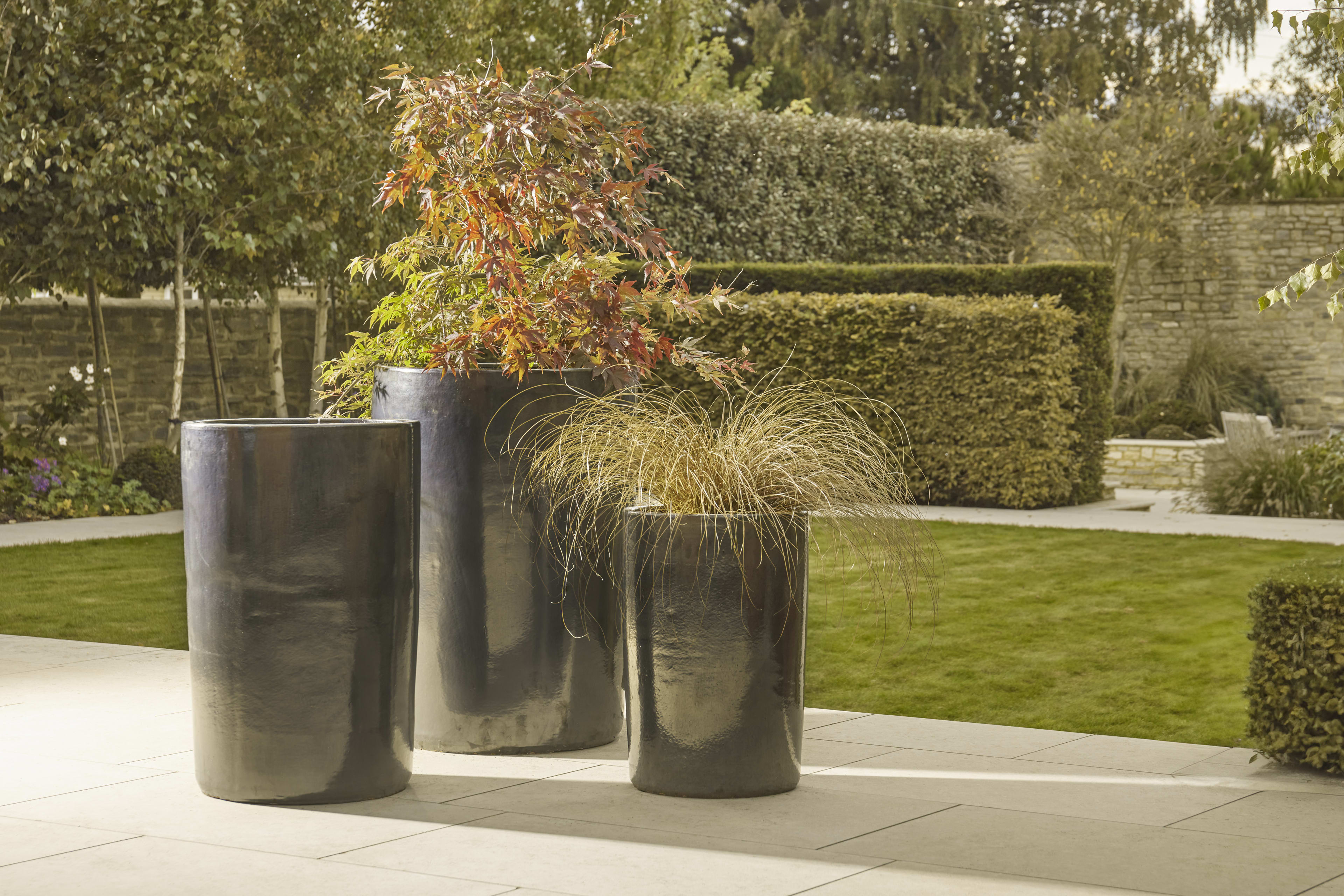 [object Object] image 1