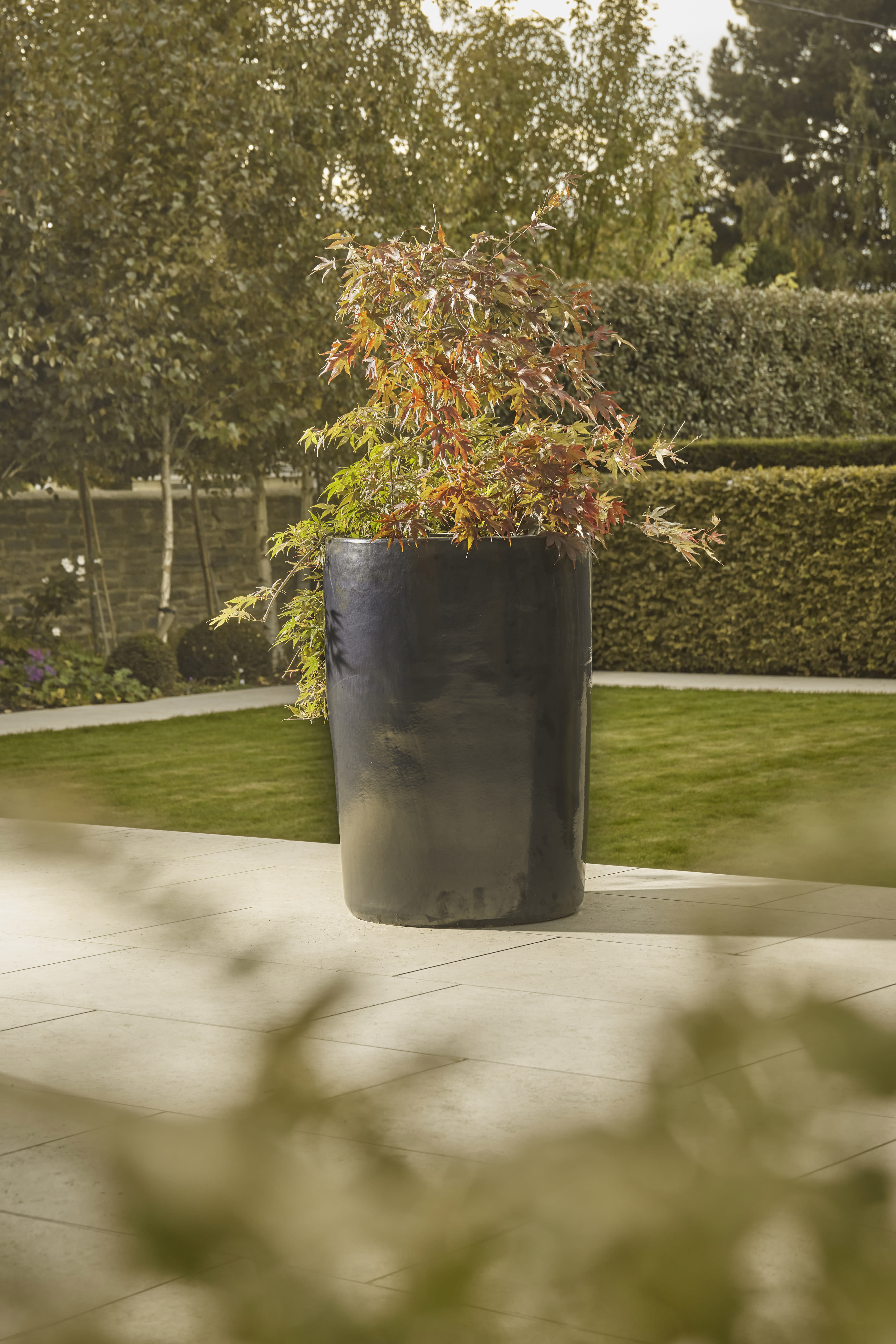 [object Object] image 3