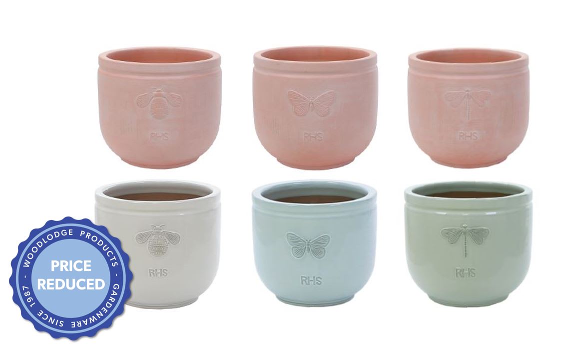 [object Object] image 0