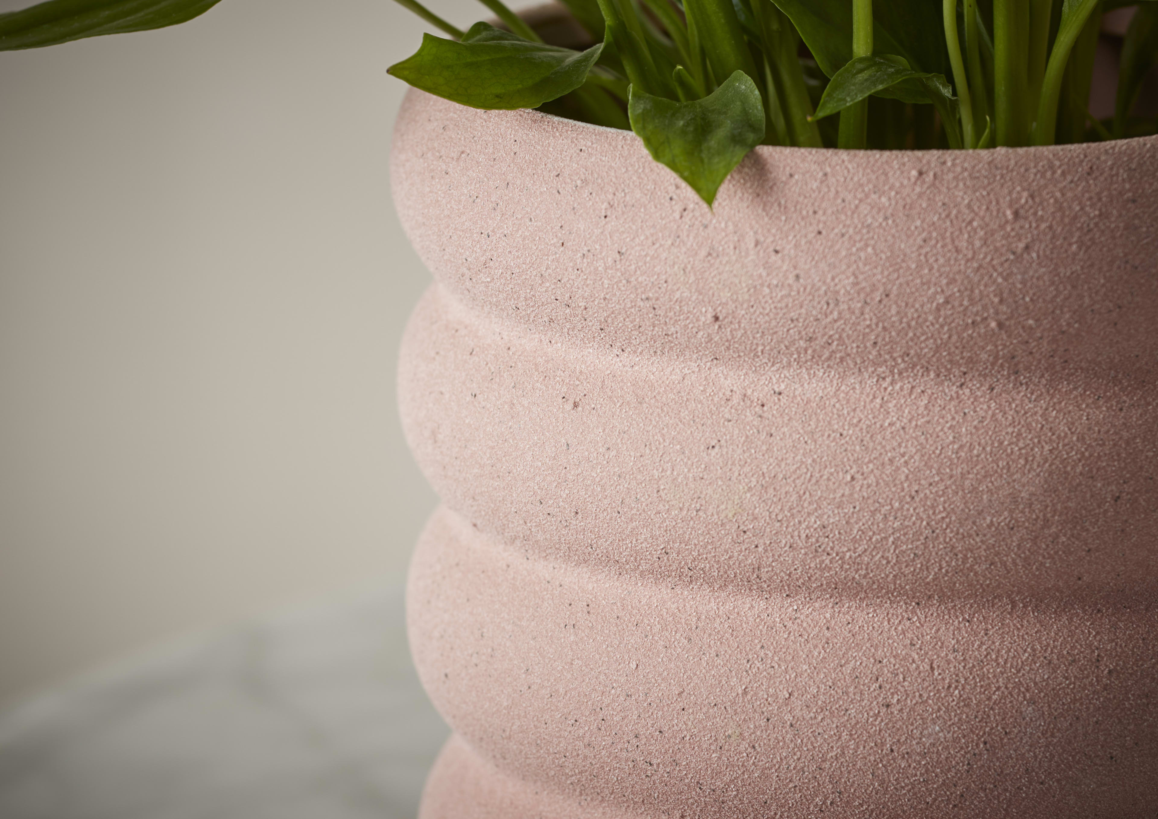 [object Object] image 3