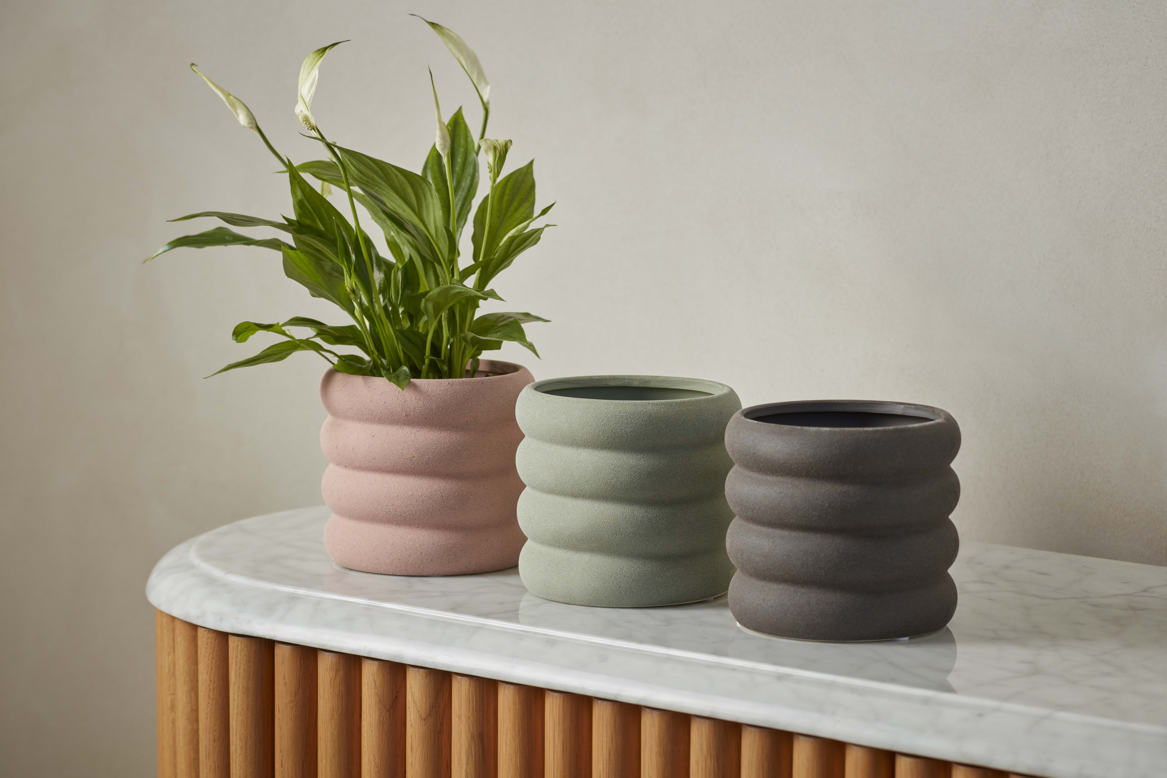 [object Object] image 2