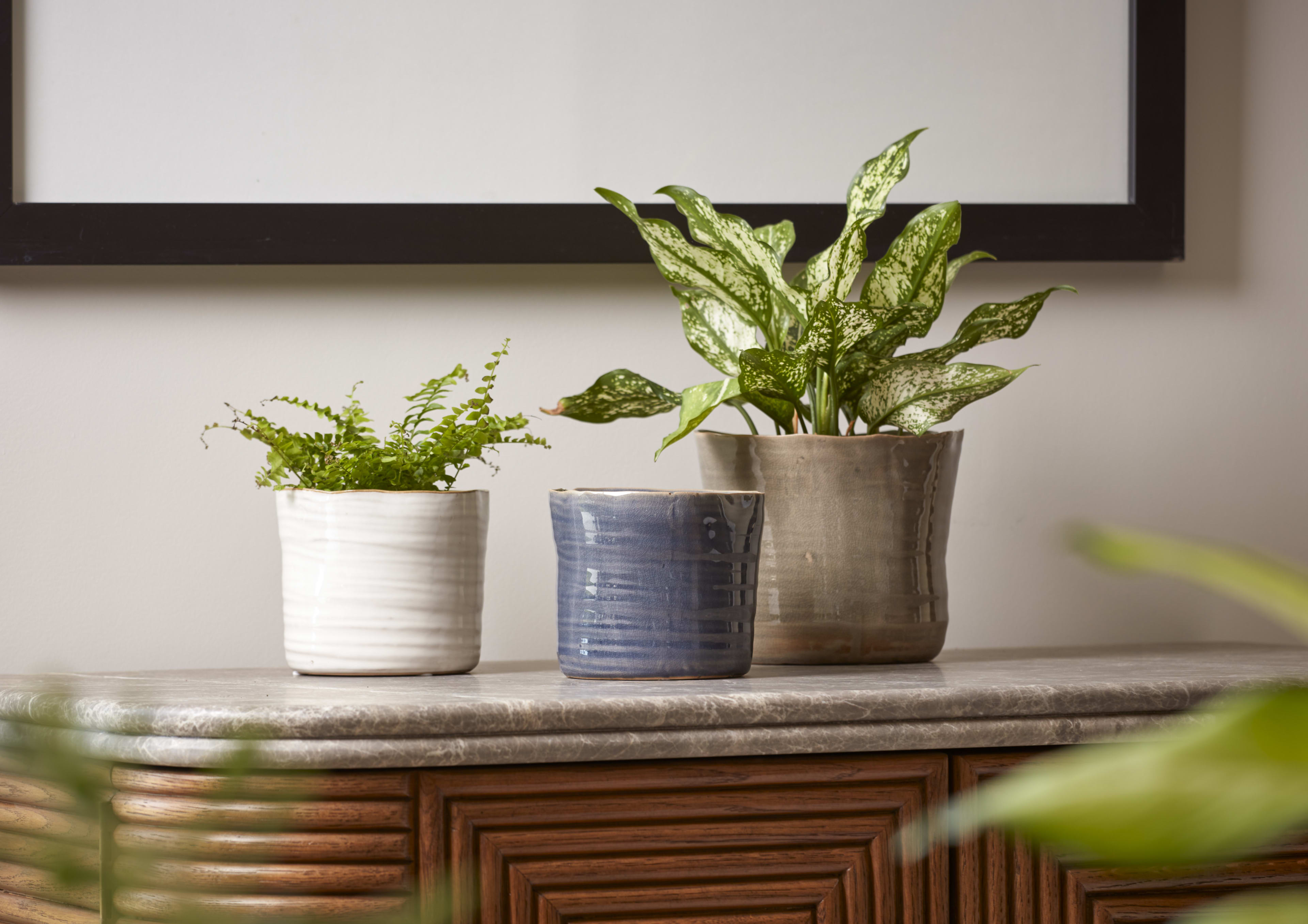 [object Object] image 2