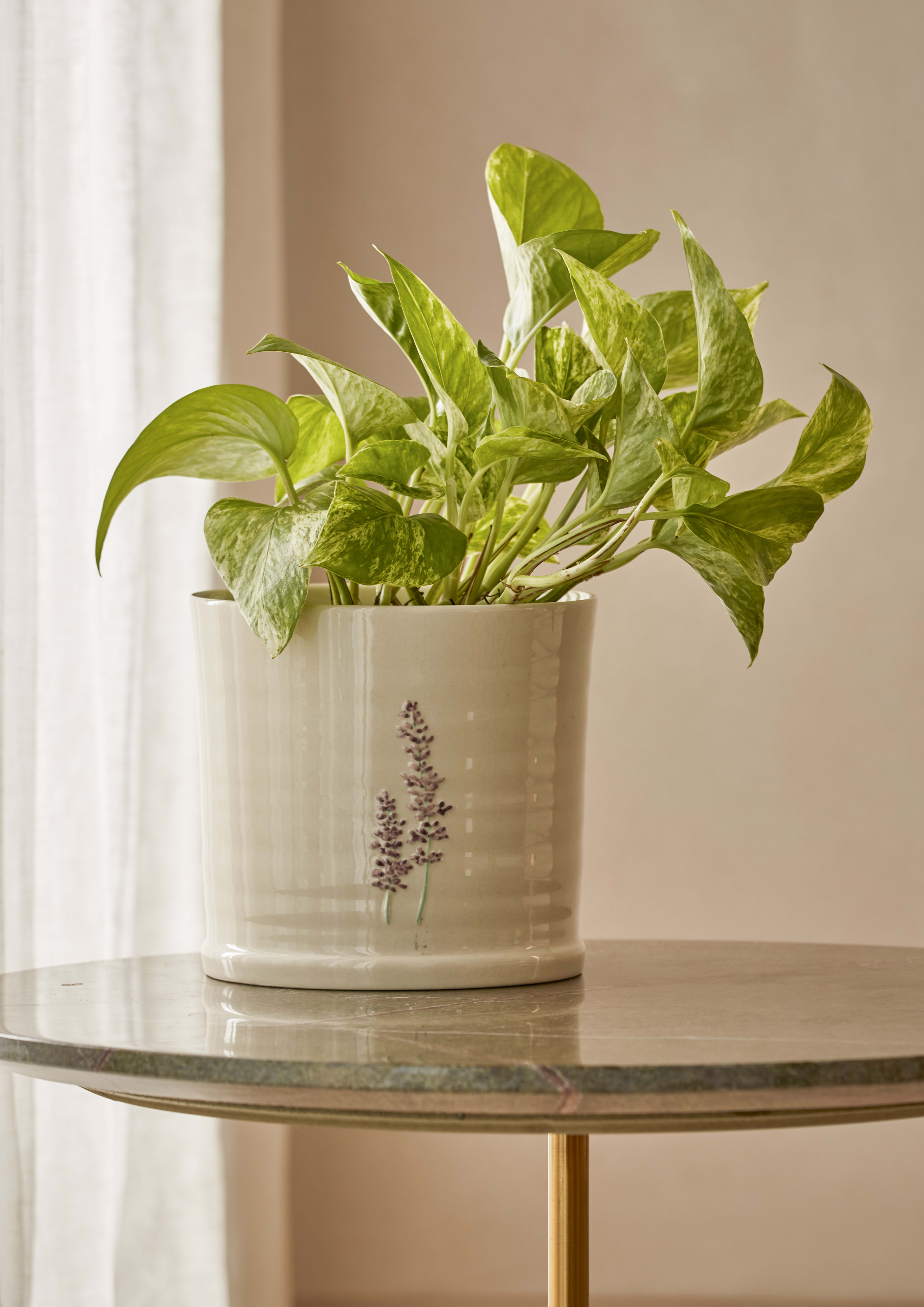 16cm Lavender Pot lifestyle